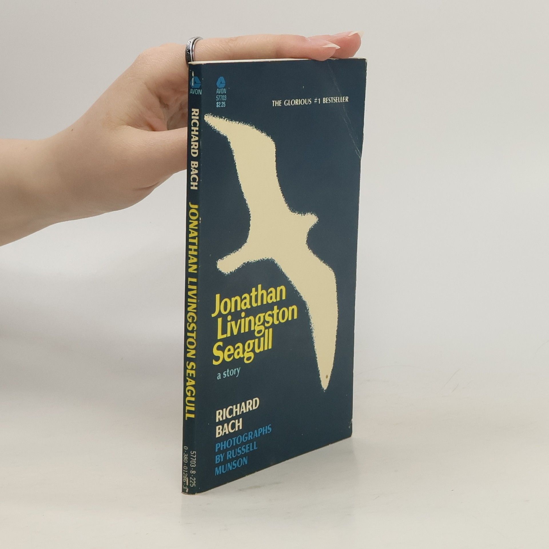 Richard Bach Jonathan Livingston Seagull