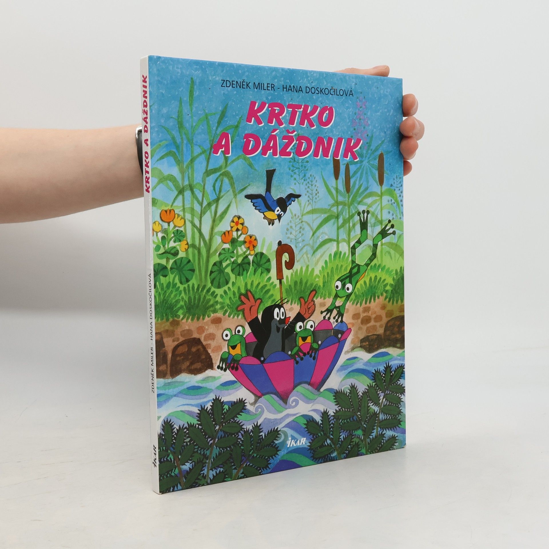 Hana Doskočilová Krtko a dáždnik