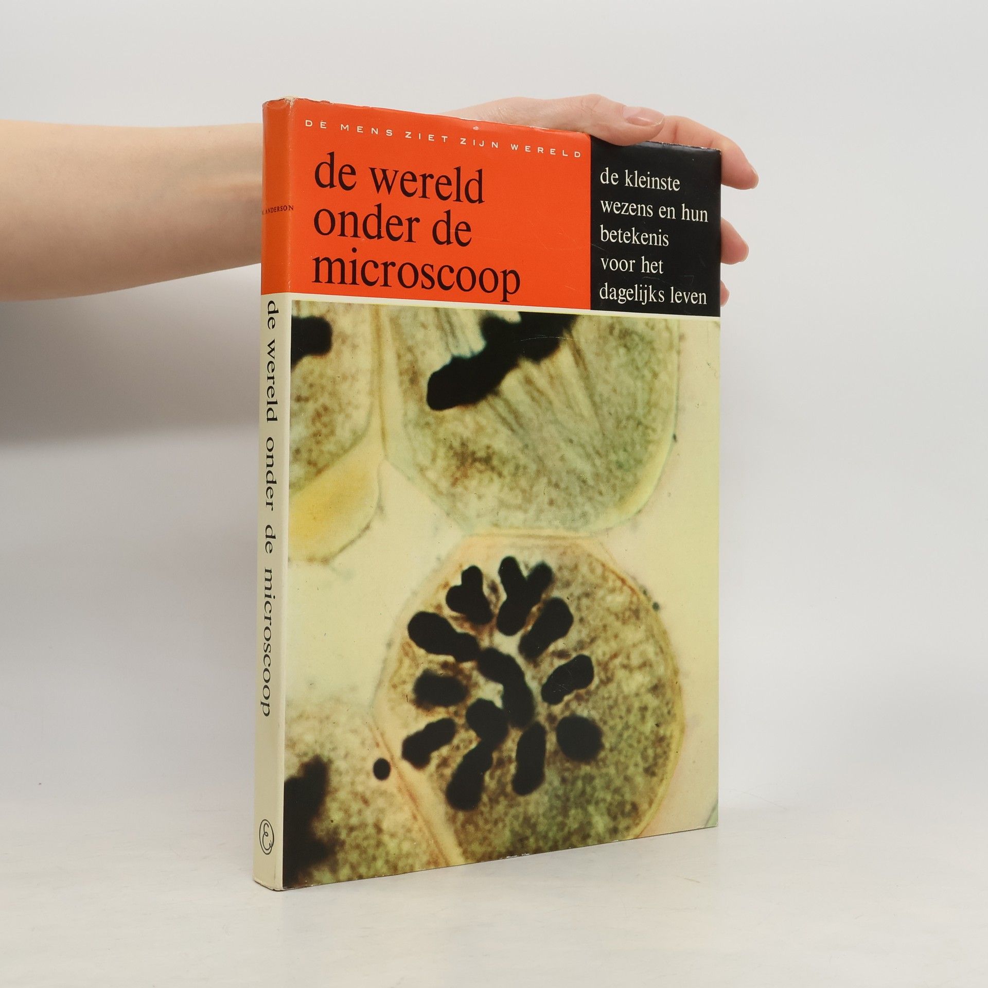 Kirsteen Rogers De wereld onder de microscoop