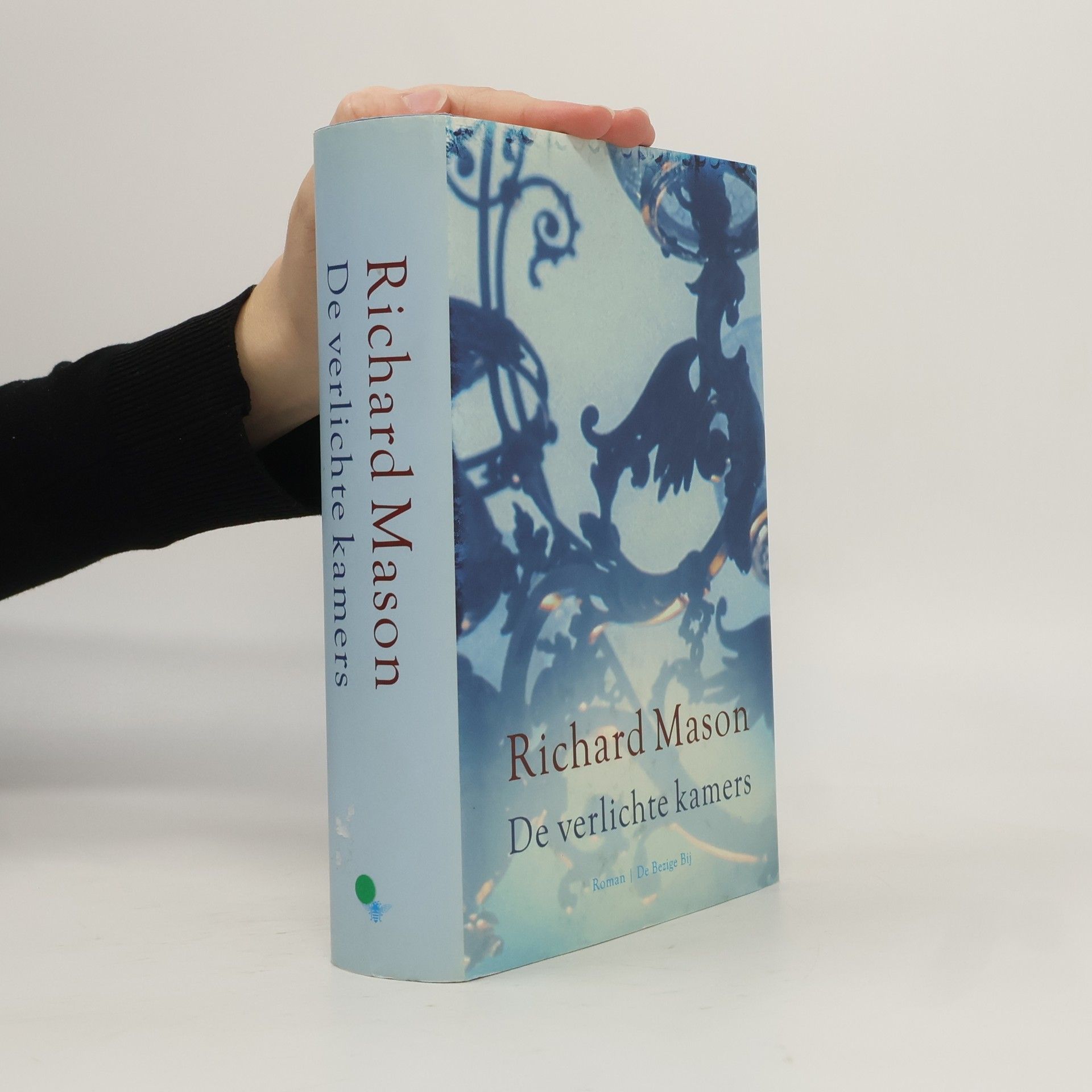 Richard Podaný De verlichte kamers