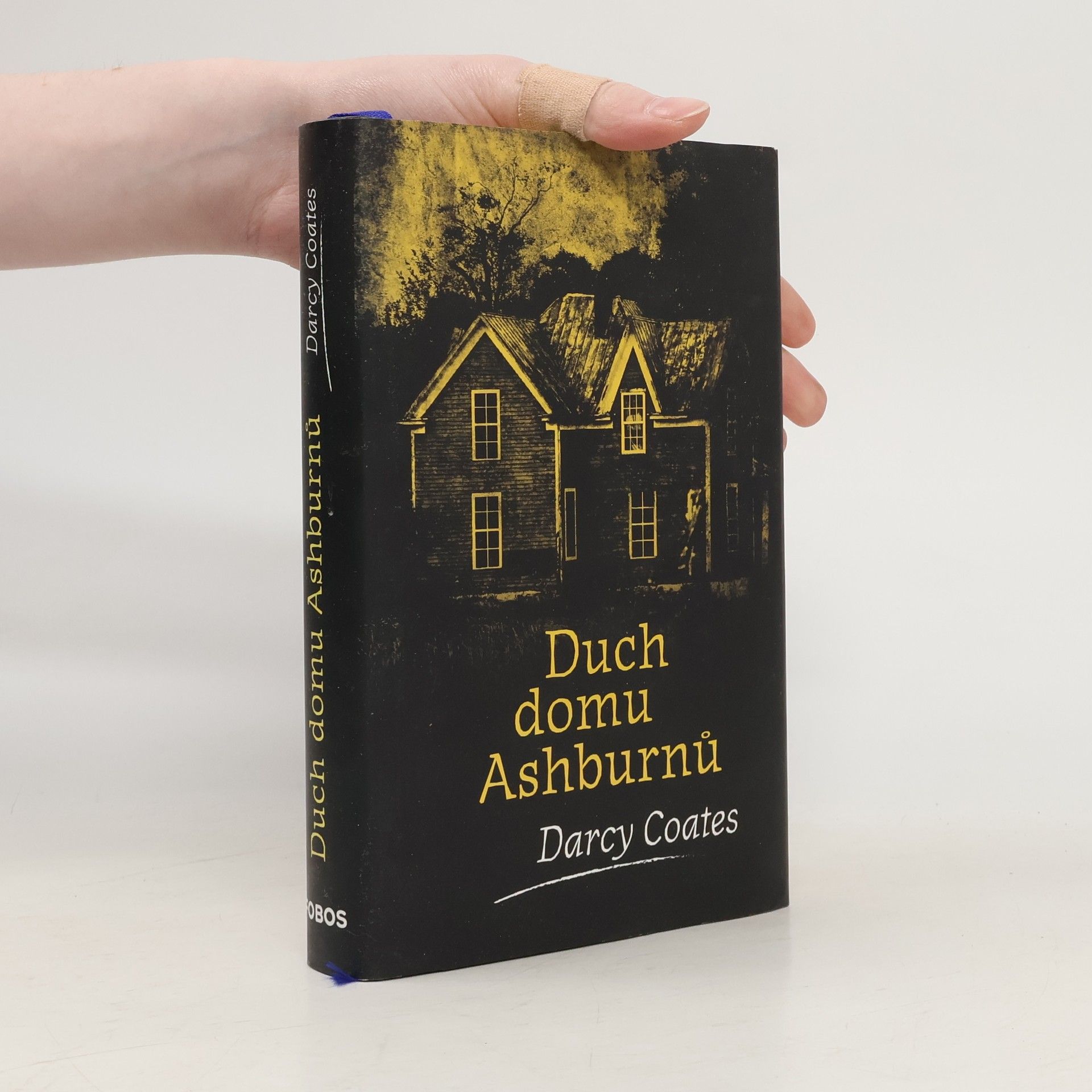 Darcy Coates Duch domu Ashburnů