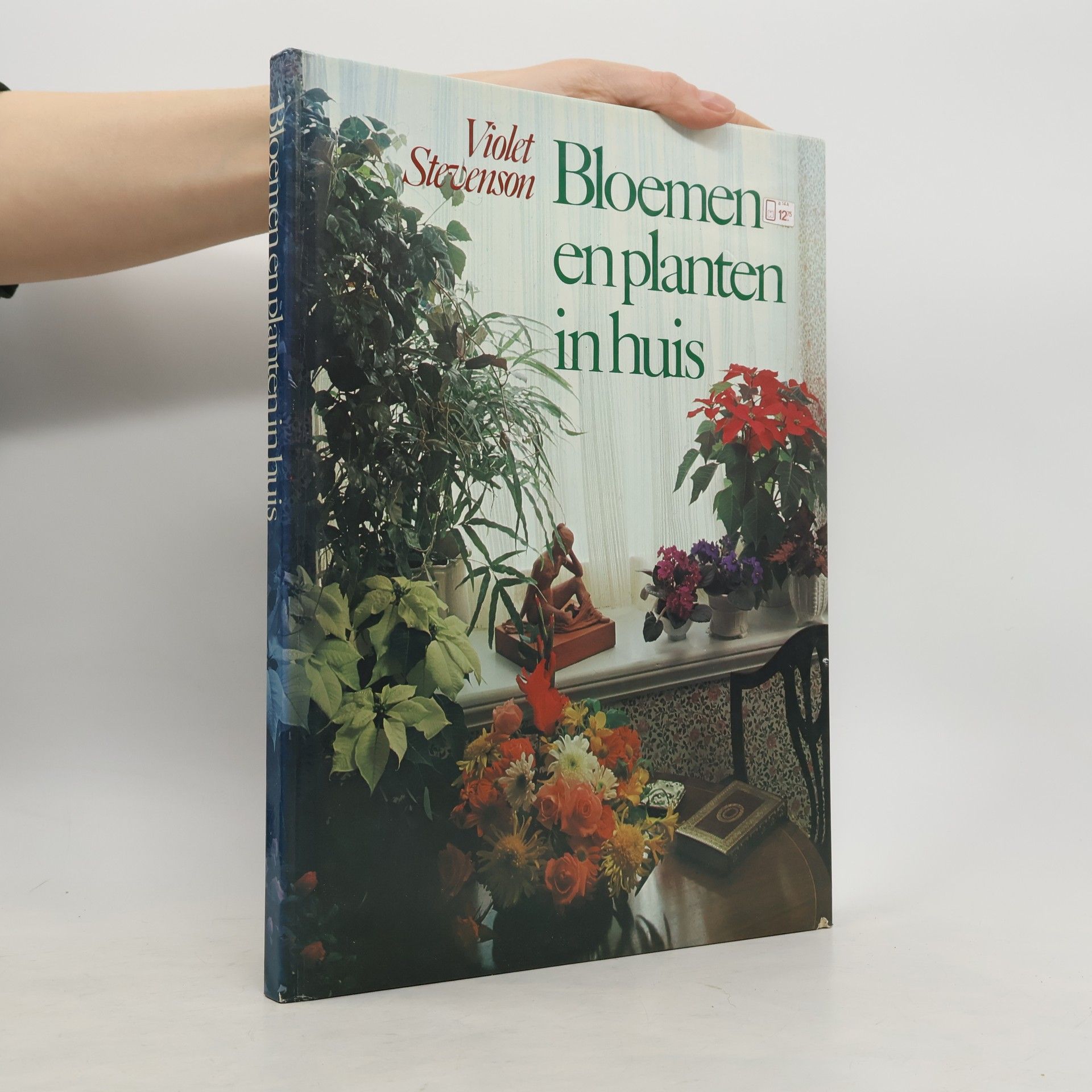 Violet Stevenson Bloemen en planten in huis