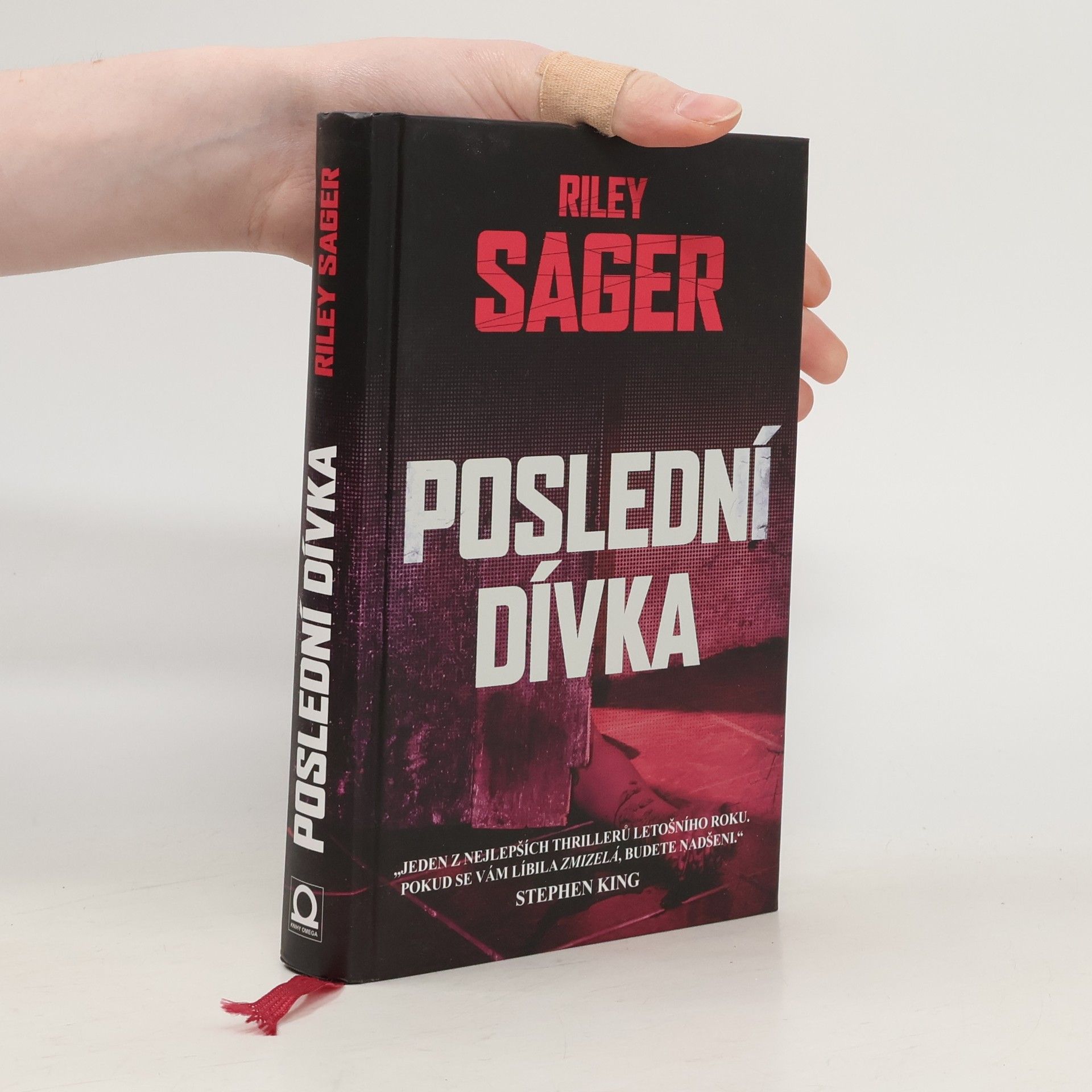 Todd Ritter Poslední dívka