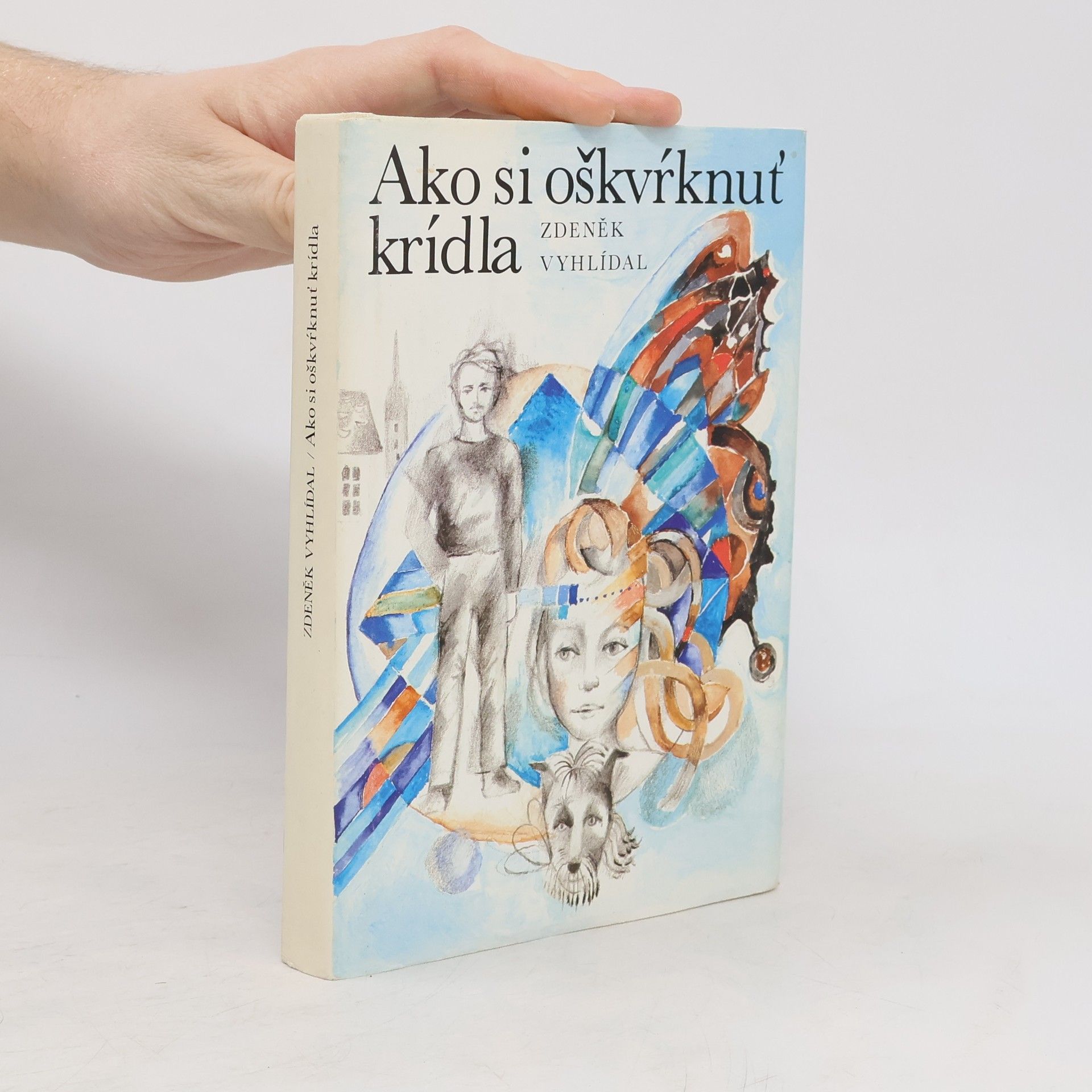 Zdeněk Vyhlídal Ako si oškvŕknuť krídla