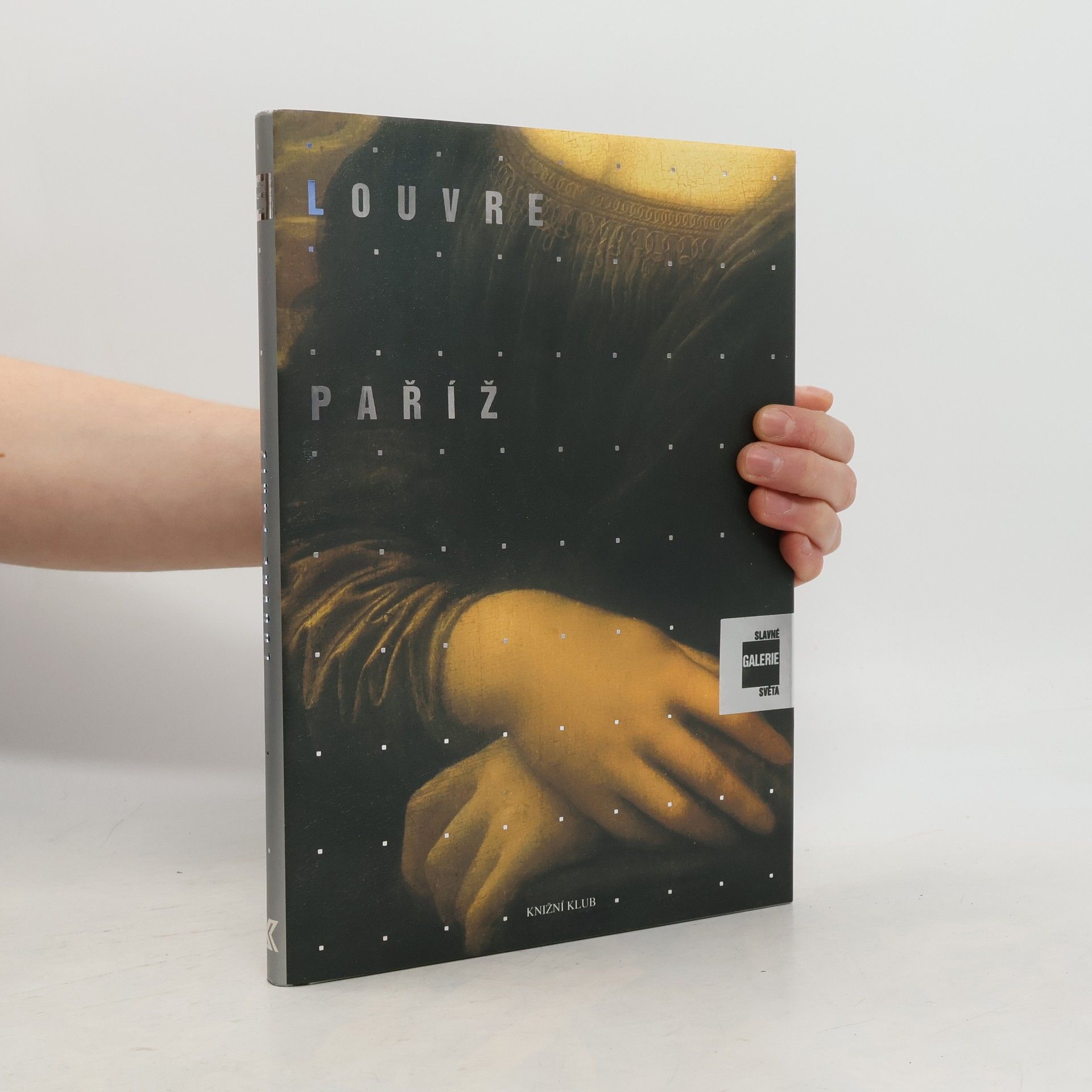 Alessandra Fregolent Slavné galerie světa. Louvre - Paříž