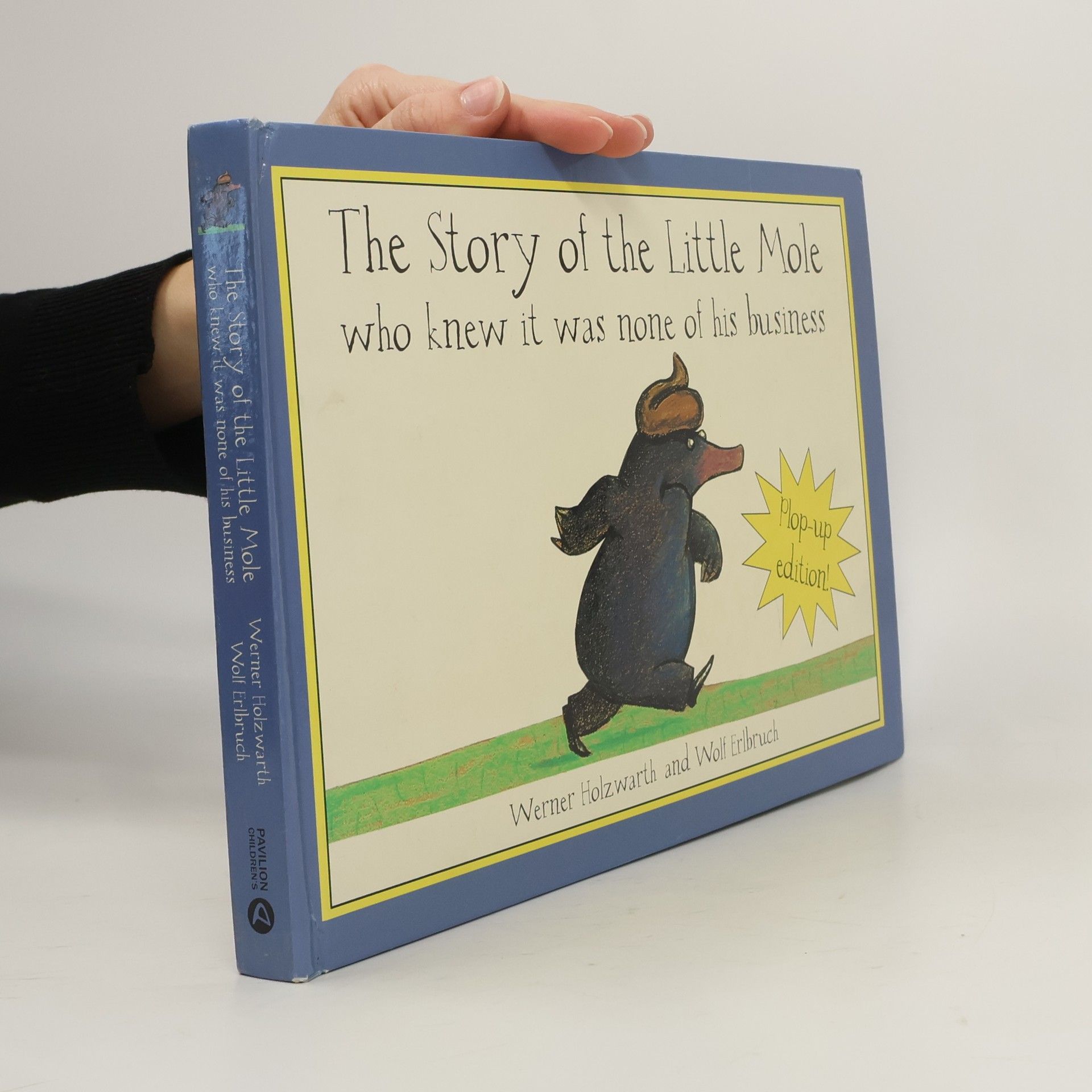 Werner Holzwarth The Story of the Little Mole Who Knew It Was None of His Business