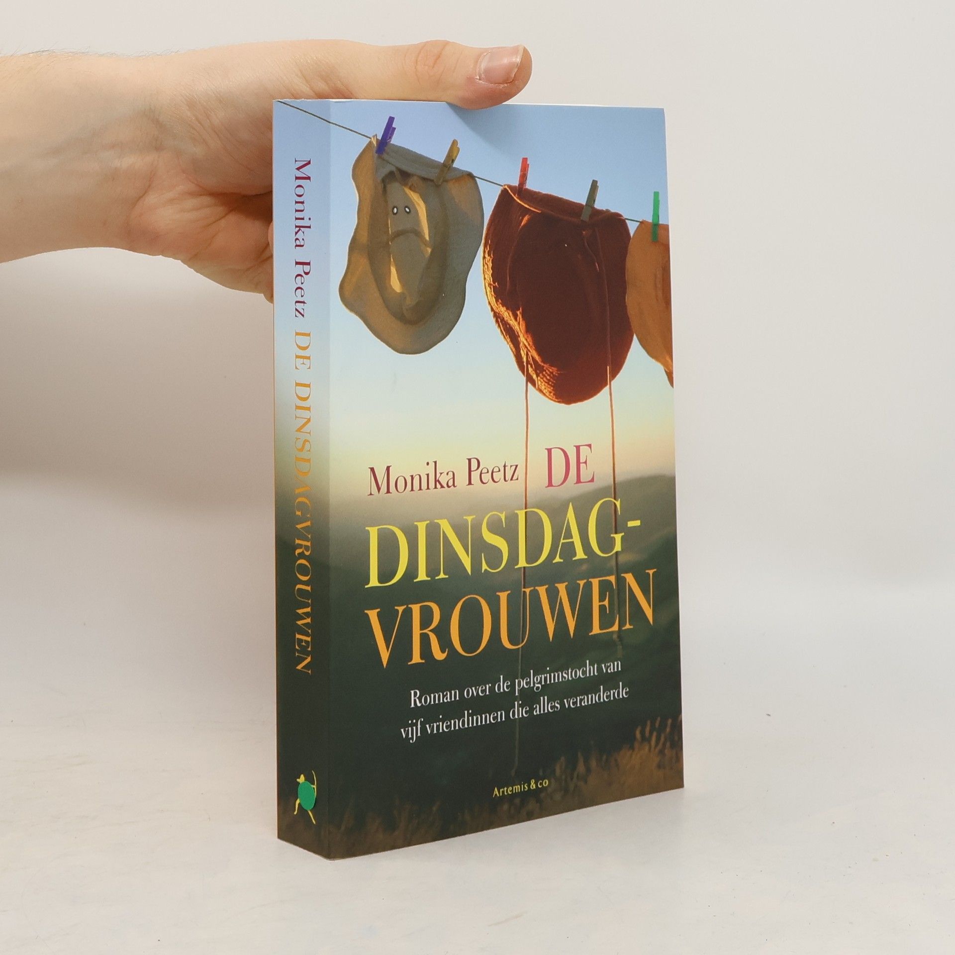 Monika Peetz De dinsdagvrouwen