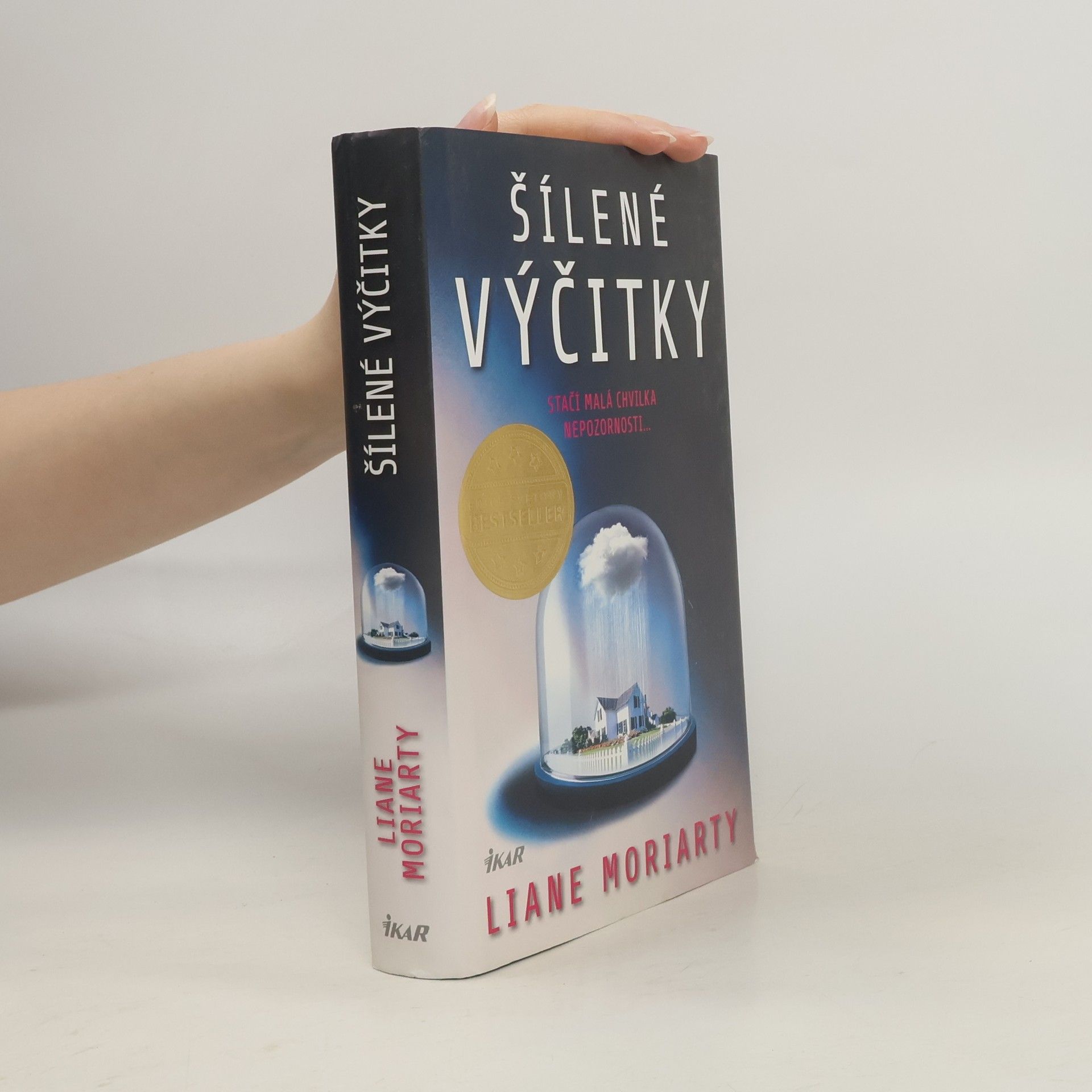 Liane Moriarty Šílené výčitky