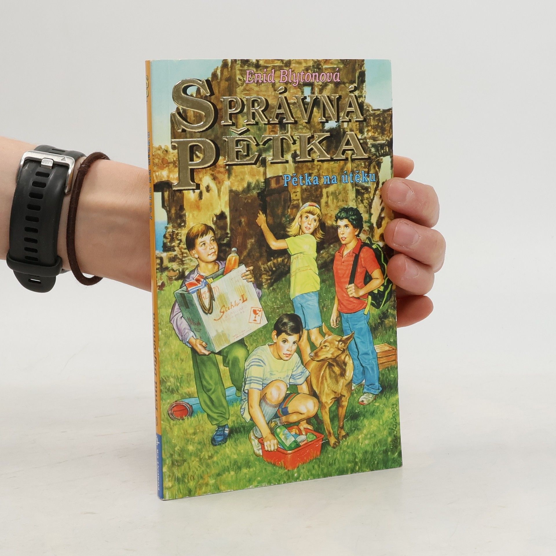 Enid Blyton Správná pětka. Pětka na útěku