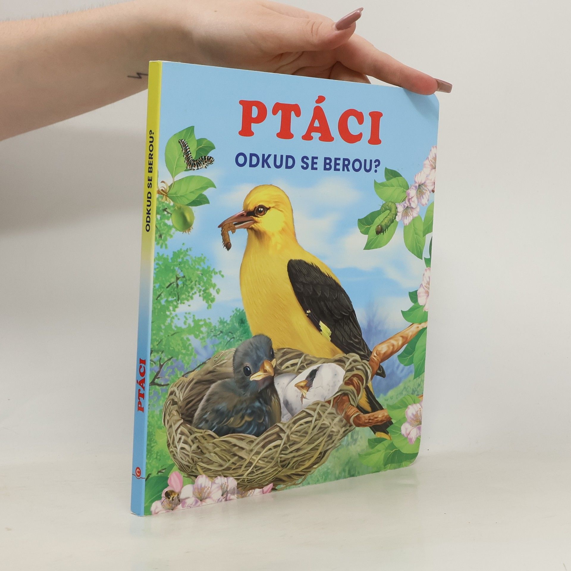 Auteurscollectief Ptáci - Odkud se berou?