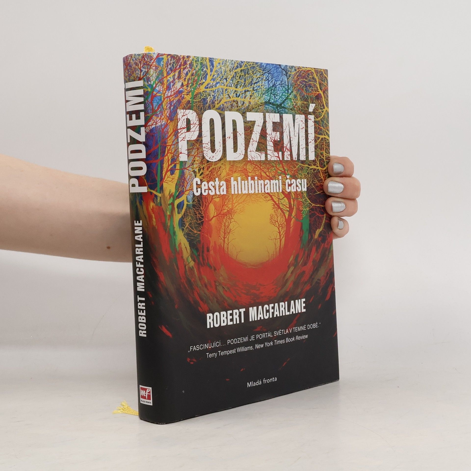 Robert McFarlane Podzemí : cesta hlubinami času