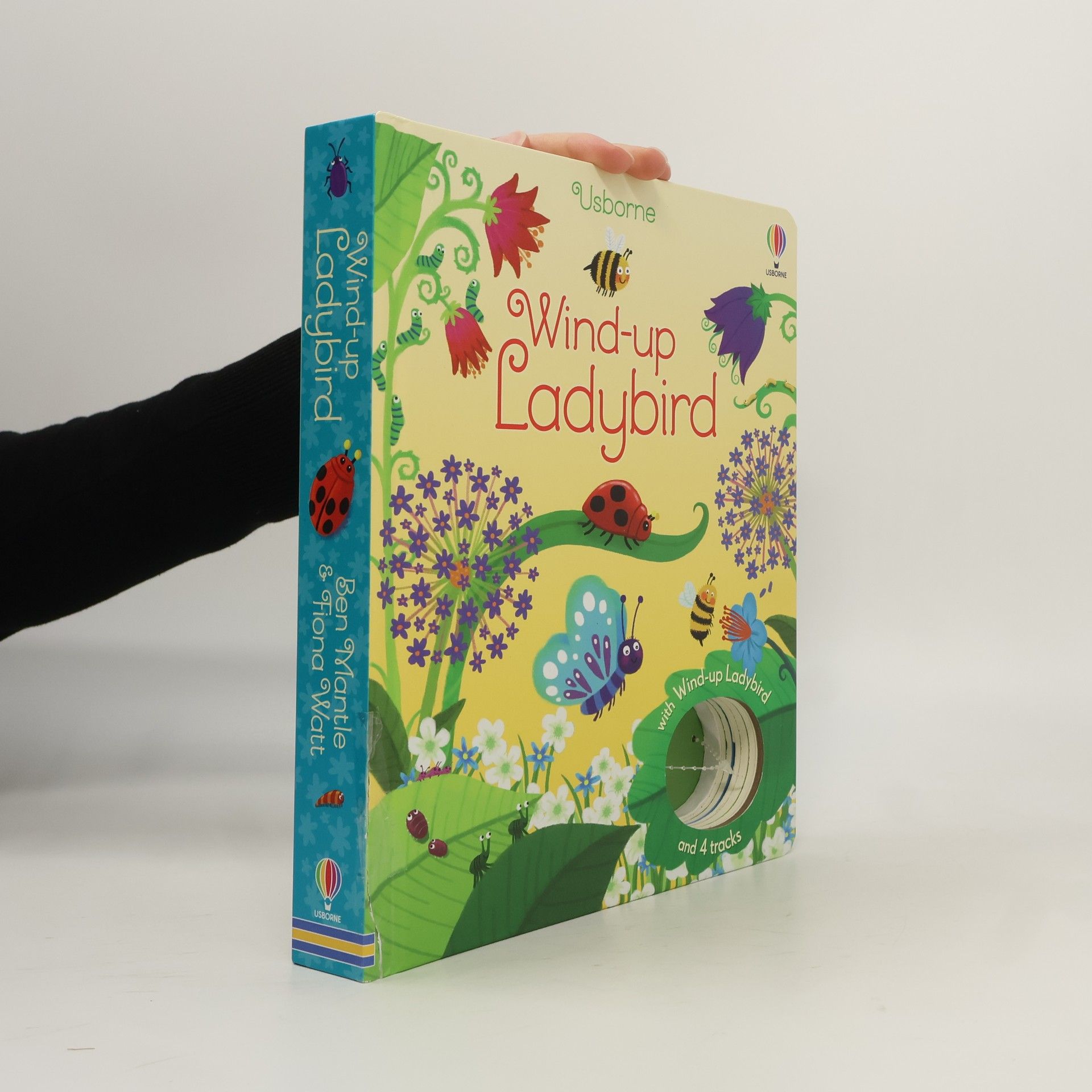 Fiona Watt Wind-up Ladybird