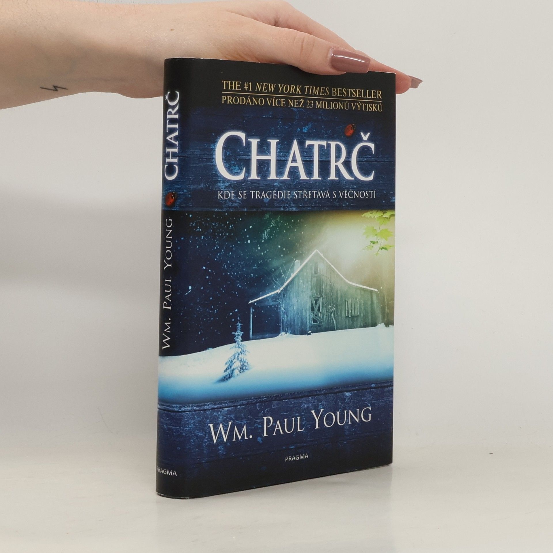 William P. Young Chatrč