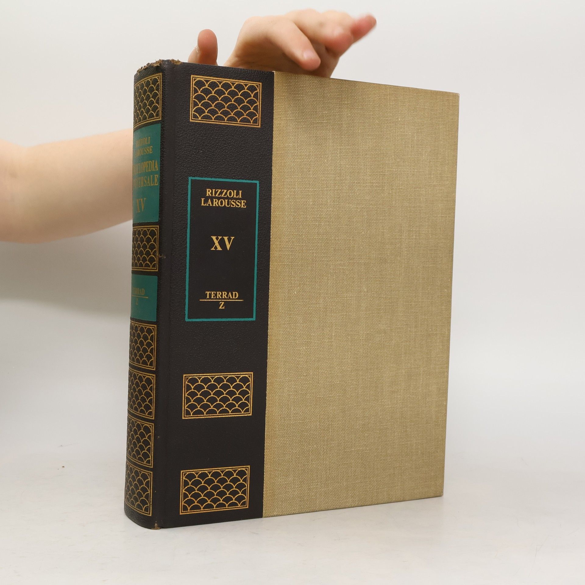 AA.VV. Enciclopedia Universale XV