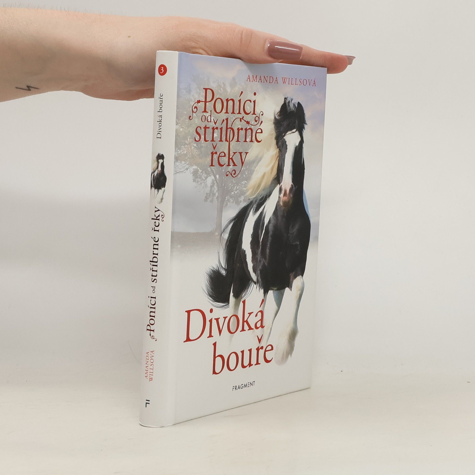 Amanda Wills Divoká bouře