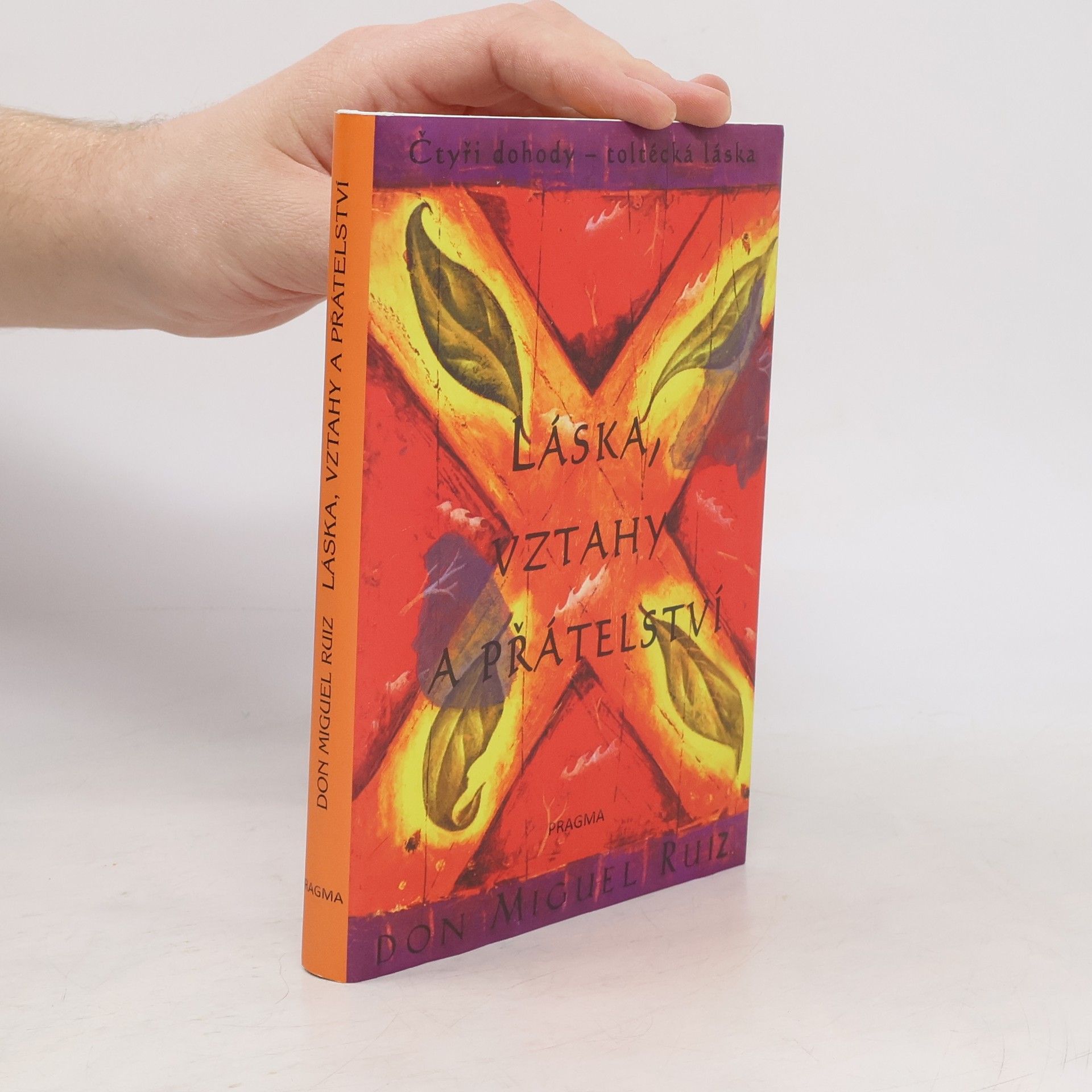 Don Miguel Ruiz Láska, vztahy a přátelství