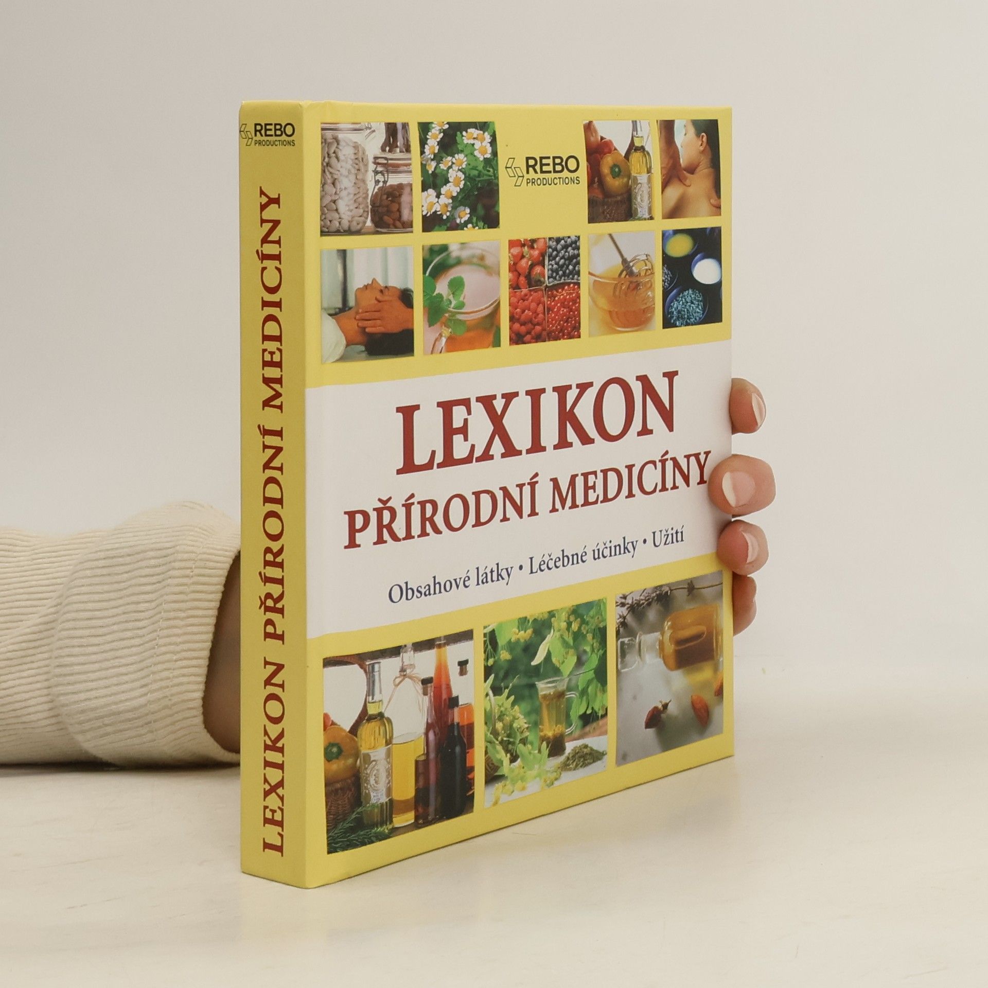 Anne Iburg Lexikon přírodní medicíny