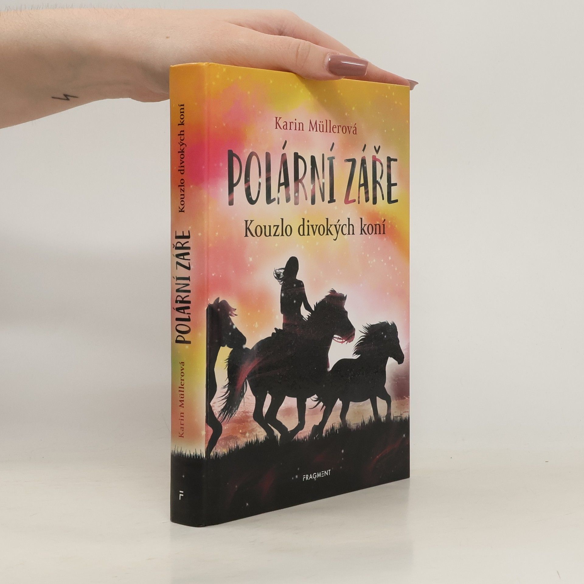 Karin Müller Polární záře - Kouzlo divokých koní