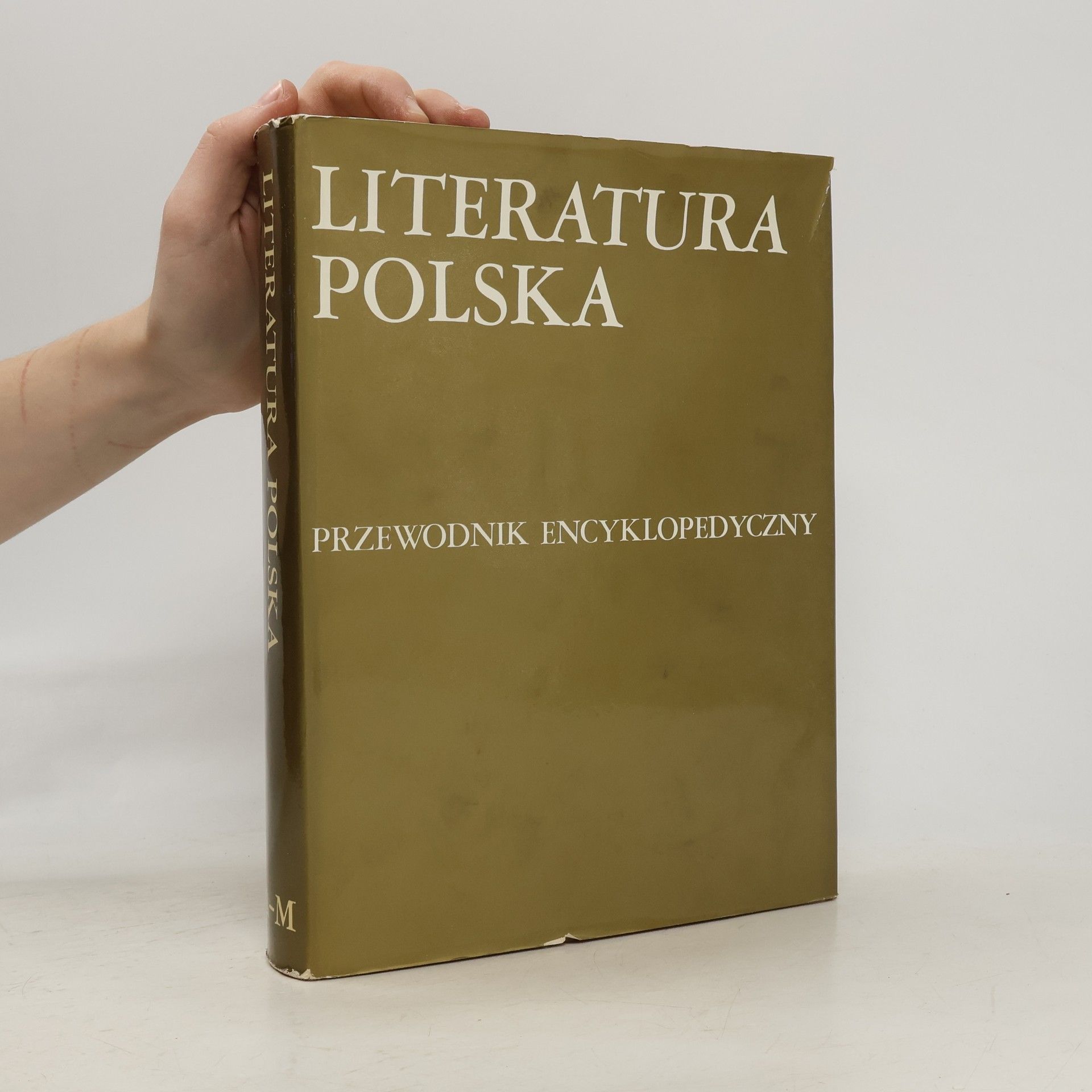 Kolektív autorov Literatura polska
