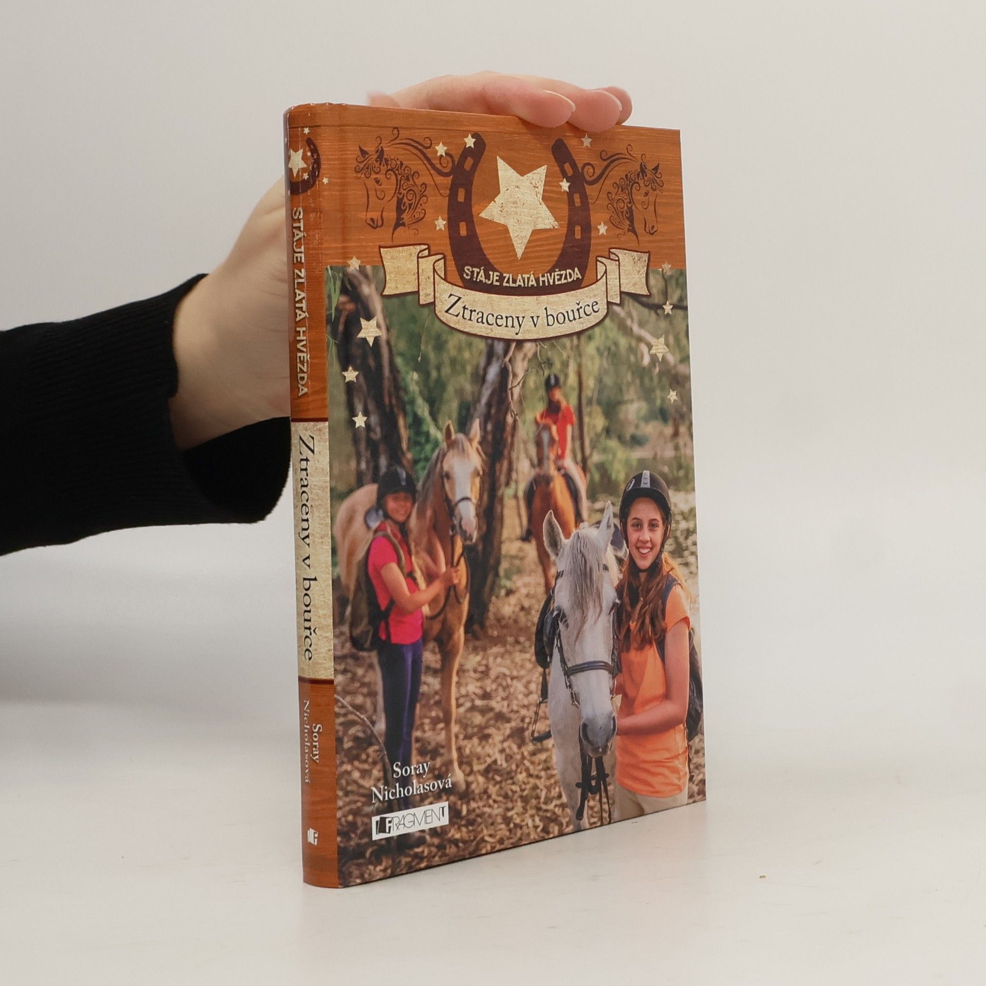 Soraya Nicholas Ztraceny v bouřce