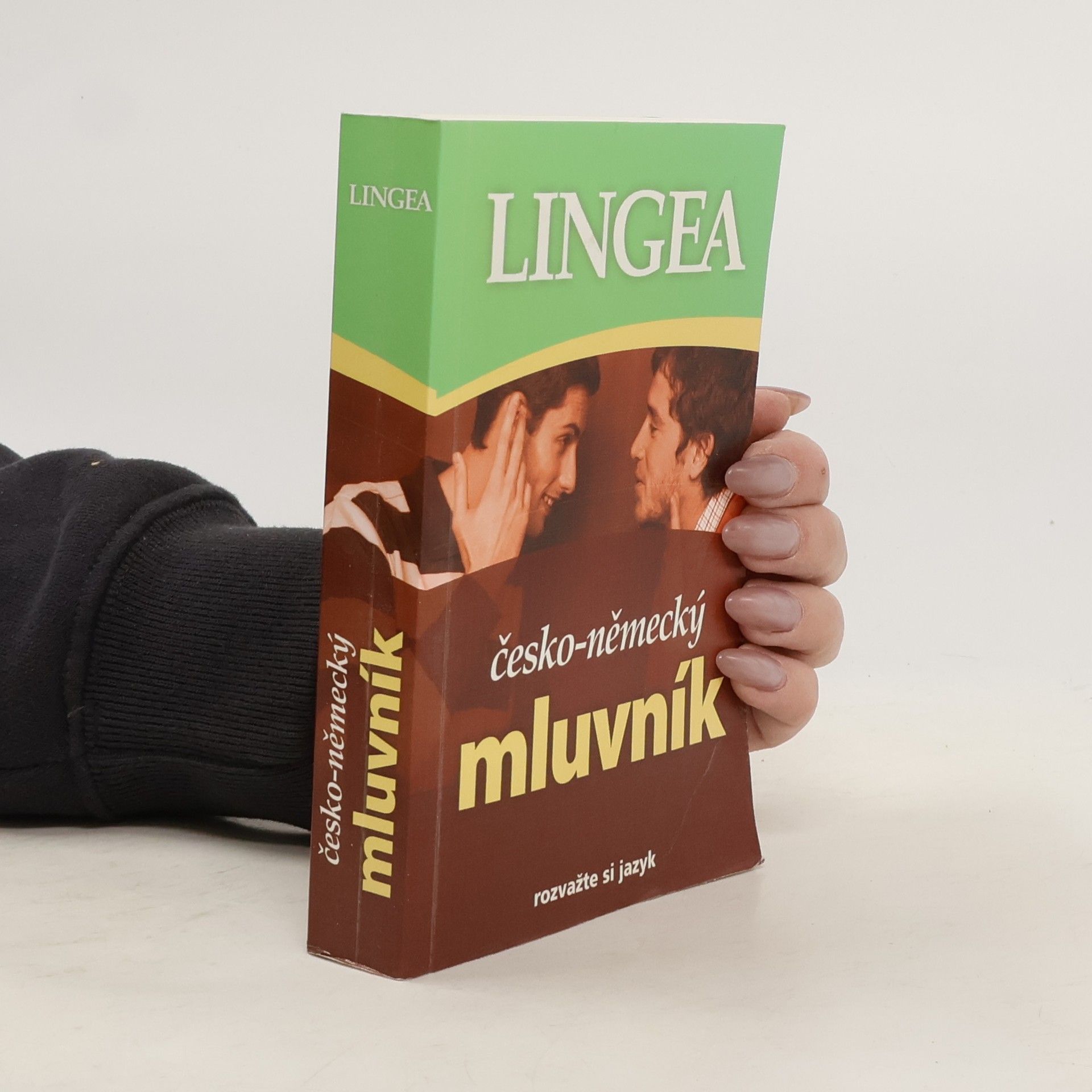 Autorenkollektiv Česko-německý mluvník