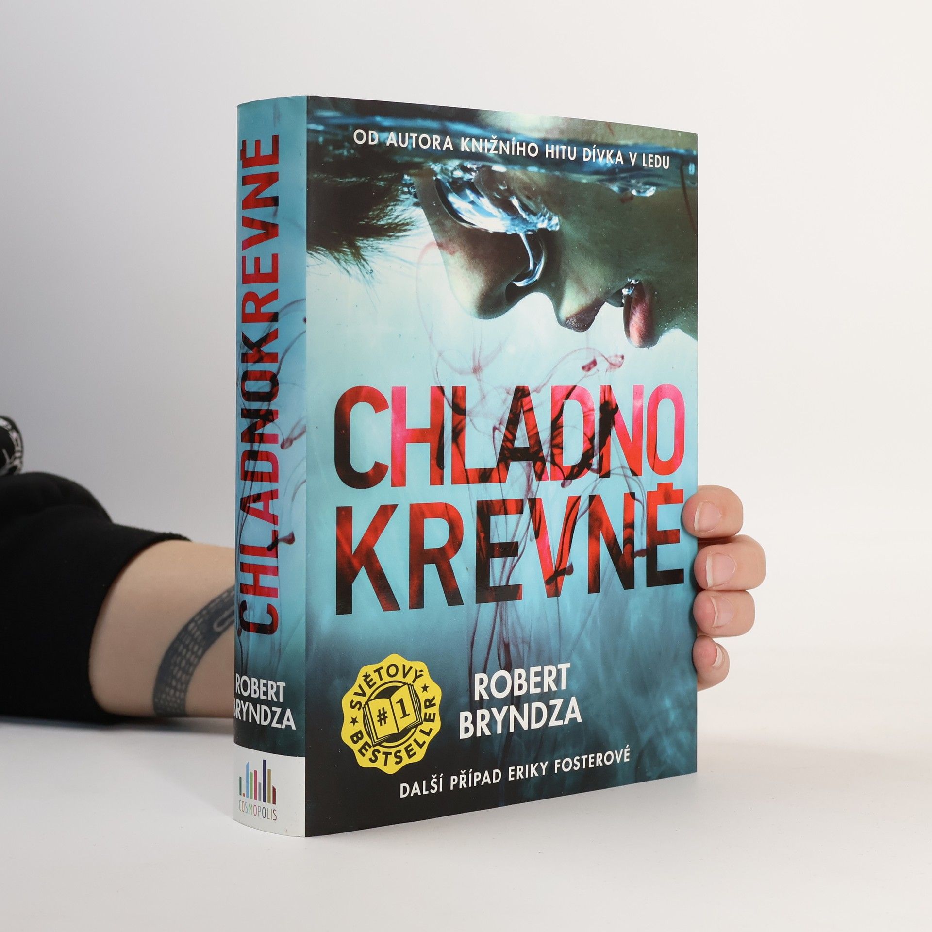 Robert Bryndza Chladnokrevně