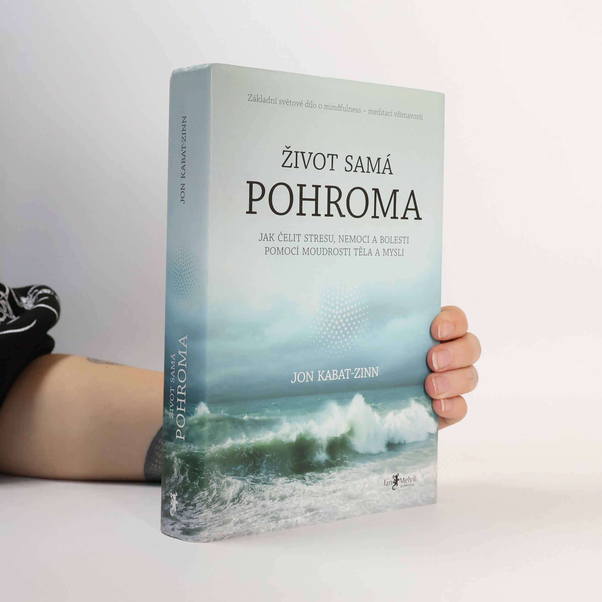 Libor Válek Život samá pohroma