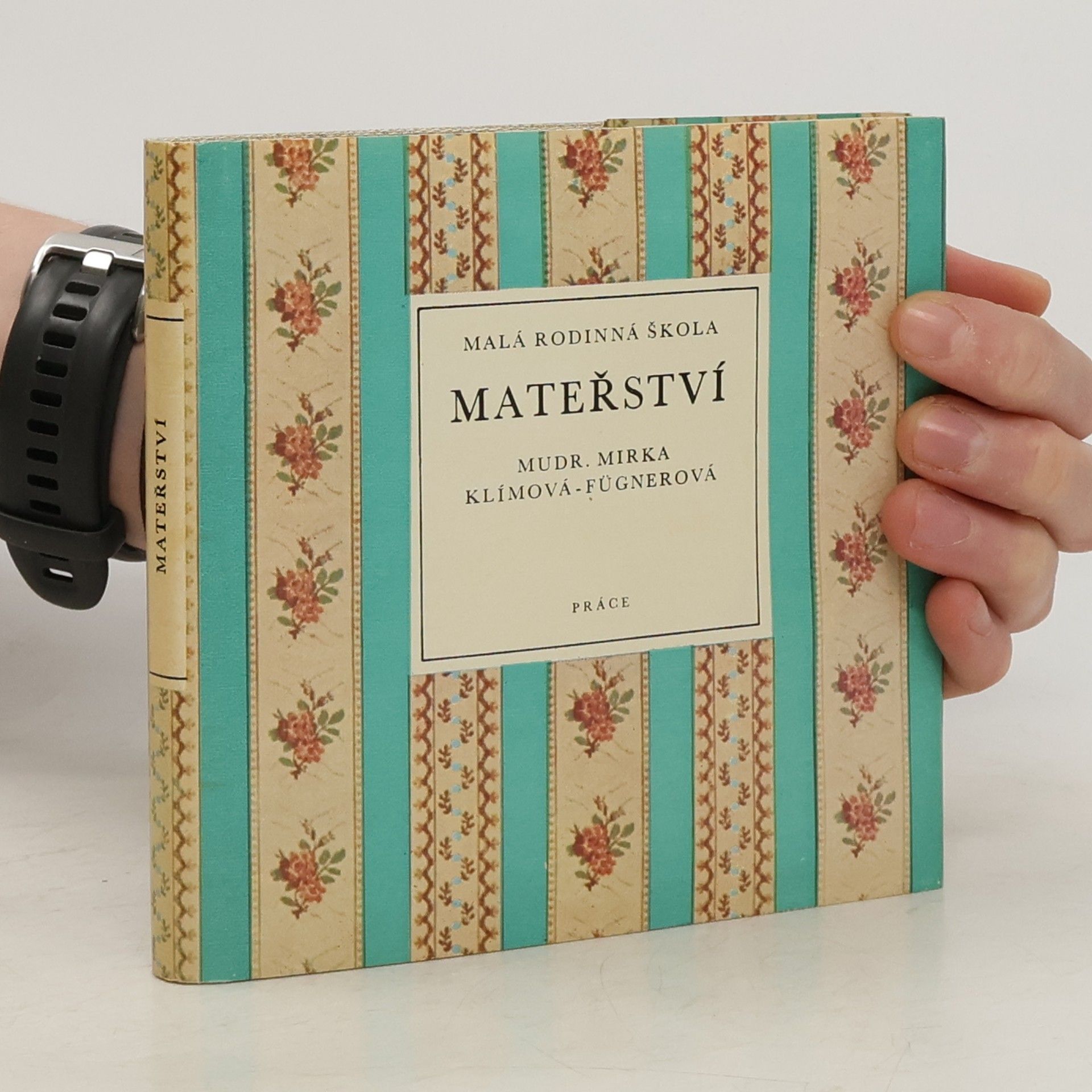 Miroslava Klímová Fügnerová Malá rodinná škola mateřství