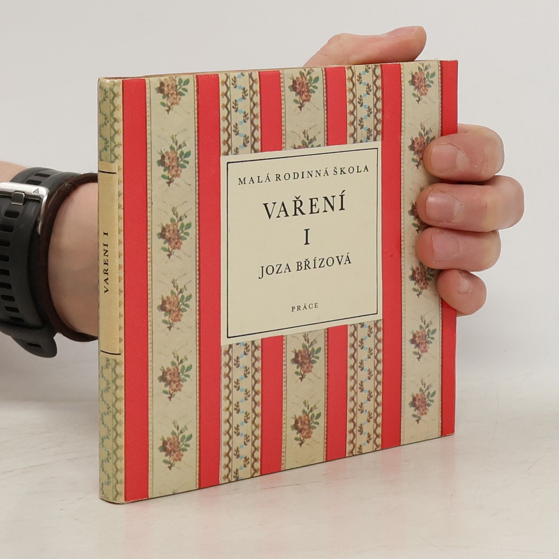 Joza Břízová Malá rodinná škola. Vaření I.