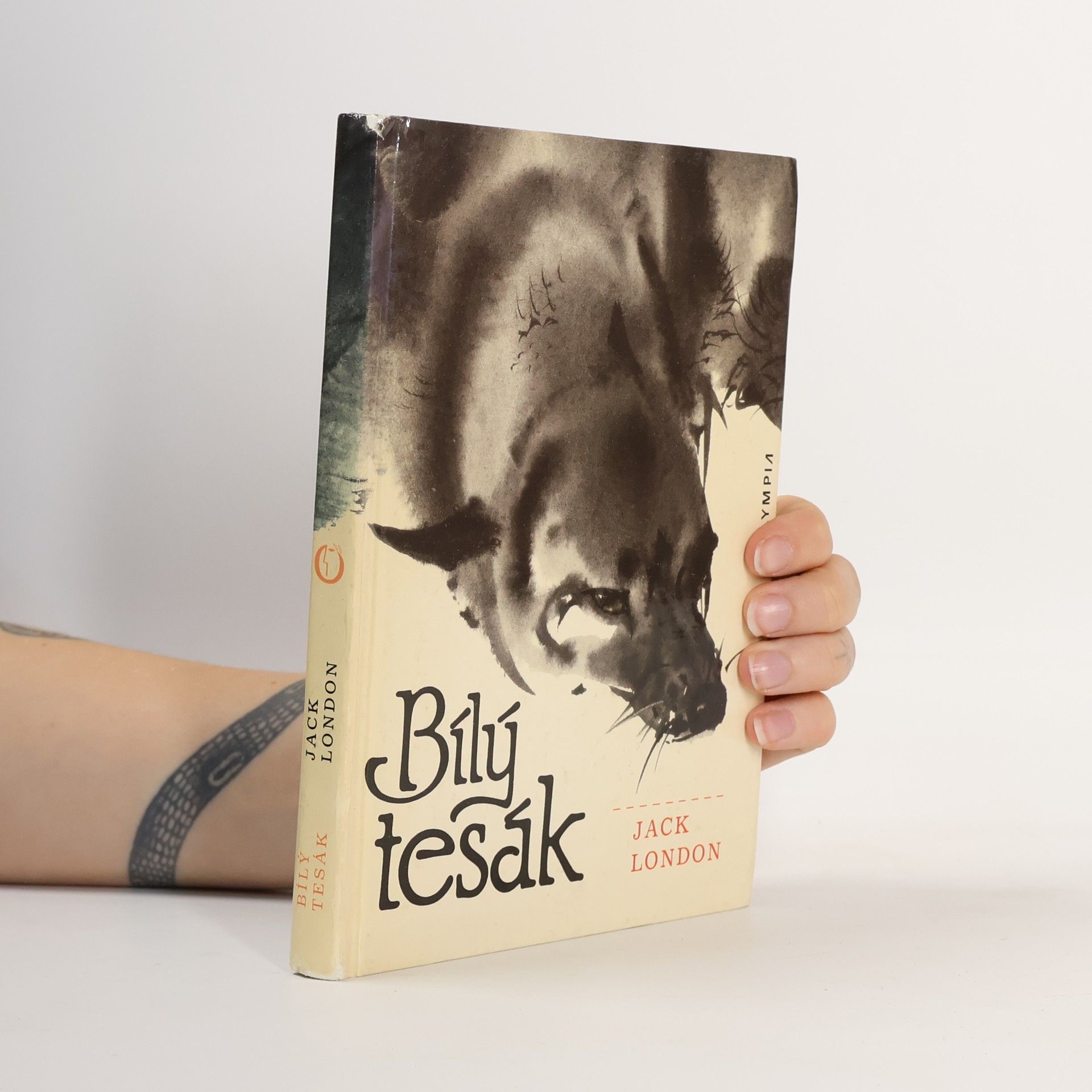 Bílý tesák