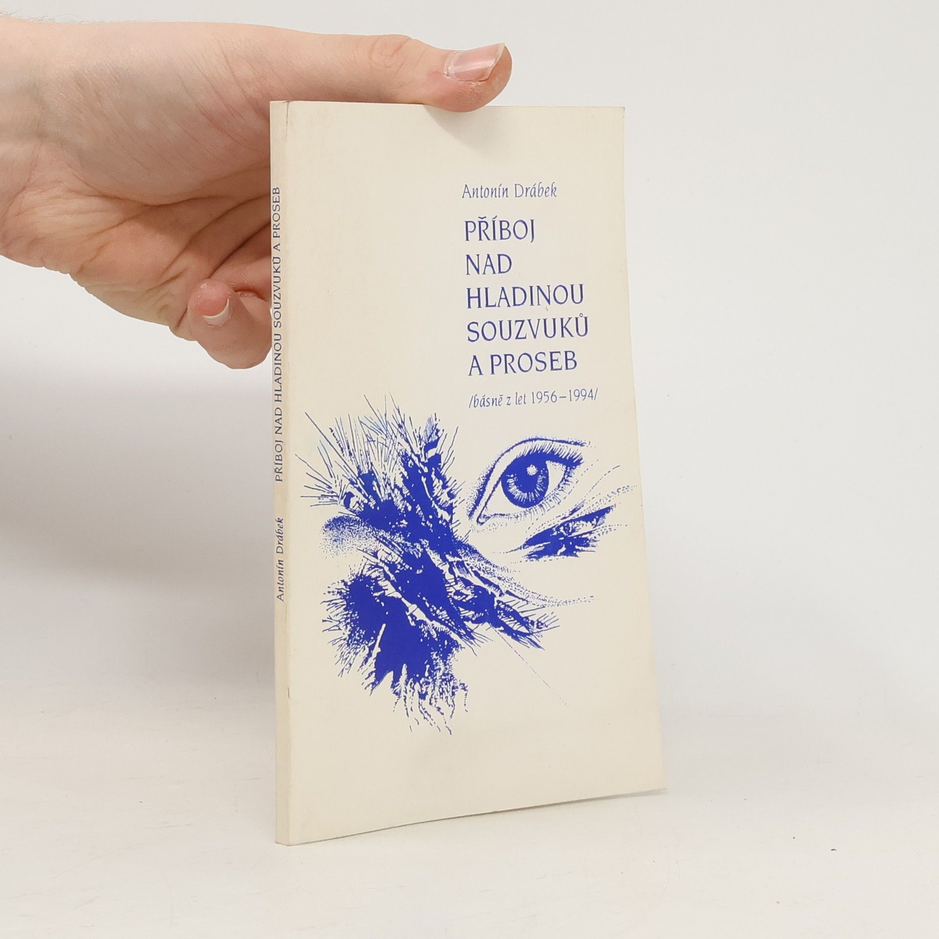 Příboj nad hladinou souzvuků a proseb