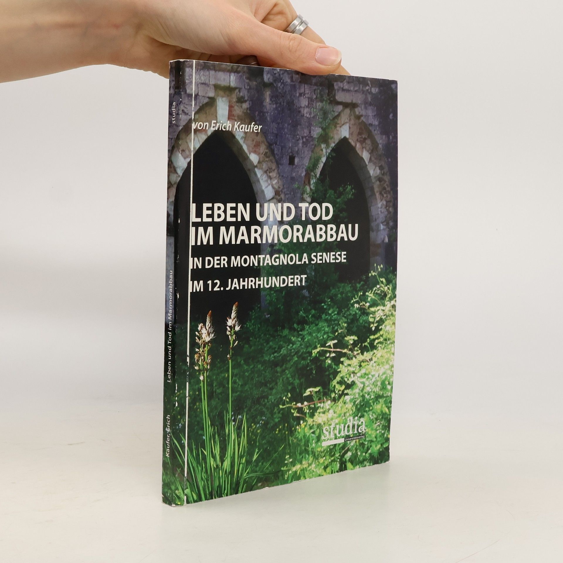 Erich Kaufer Leben und Tod im Marmorabbau in der Montagnola Senese im 12. Jahrhundert