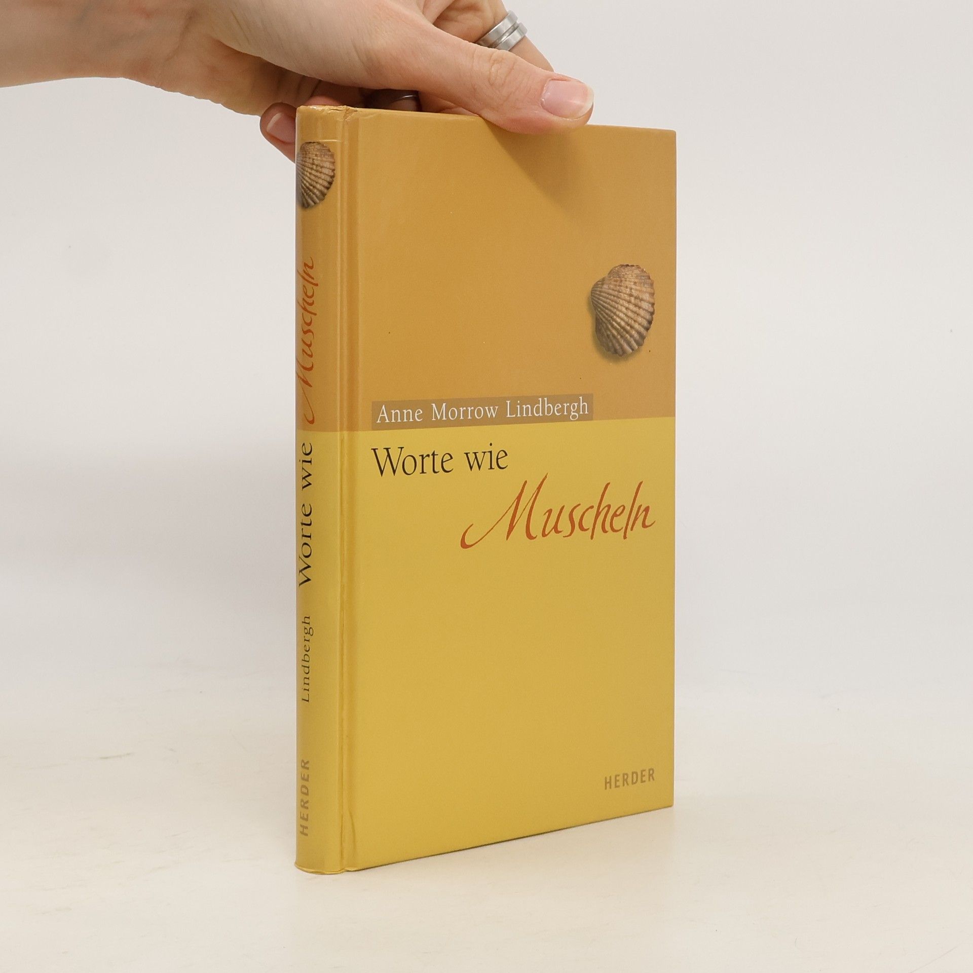 Anne Morrow Lindbergh Worte wie Muscheln