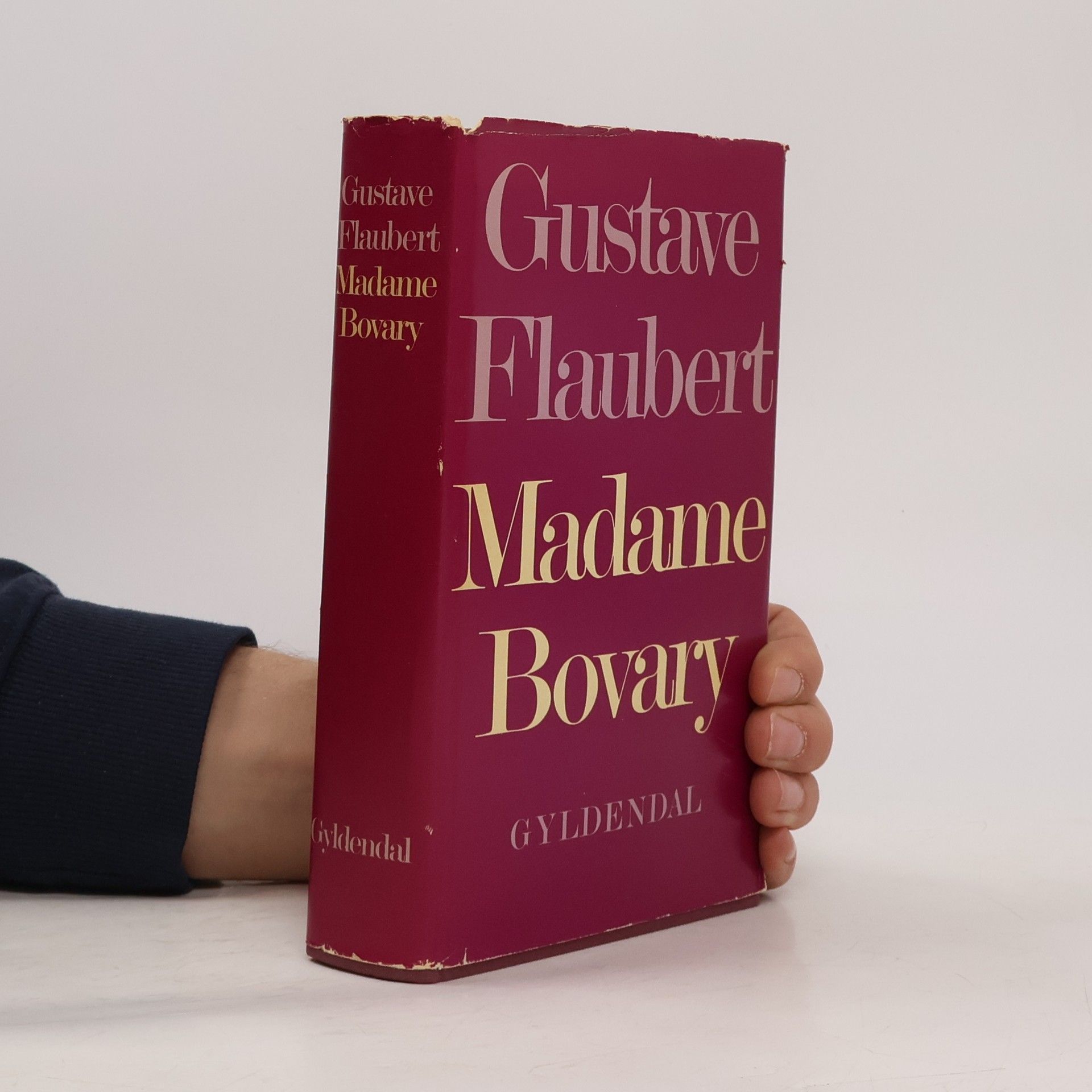 Gustave Flaubert Madame Bovary