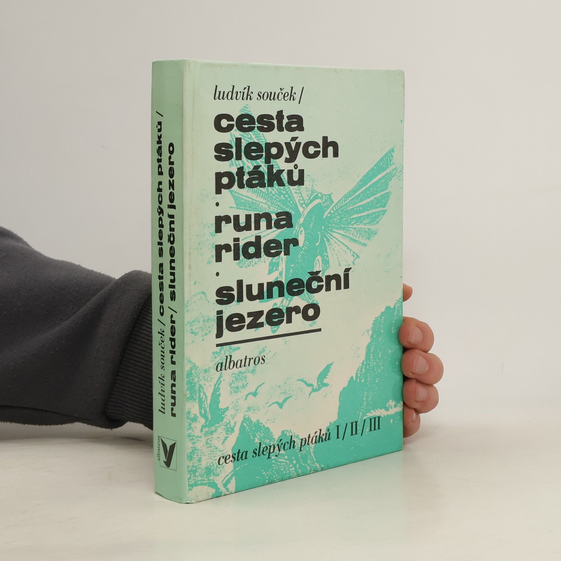 Ludvík Souček Cesta slepých ptáků, Runa rider, Sluneční jezero