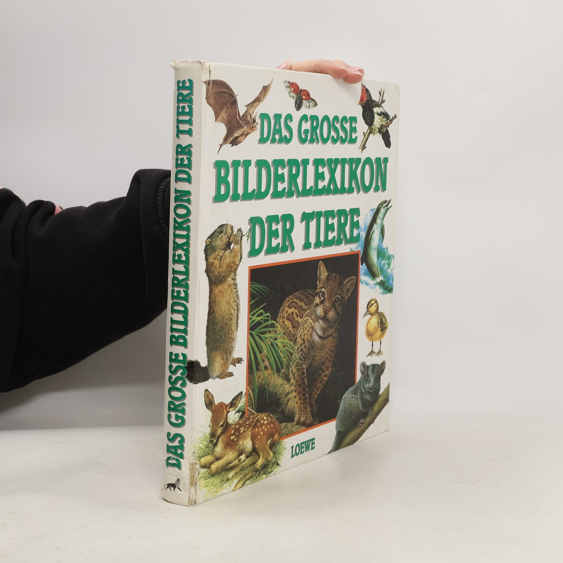 Michel Cuisin Das grosse Bilderlexikon der Tiere