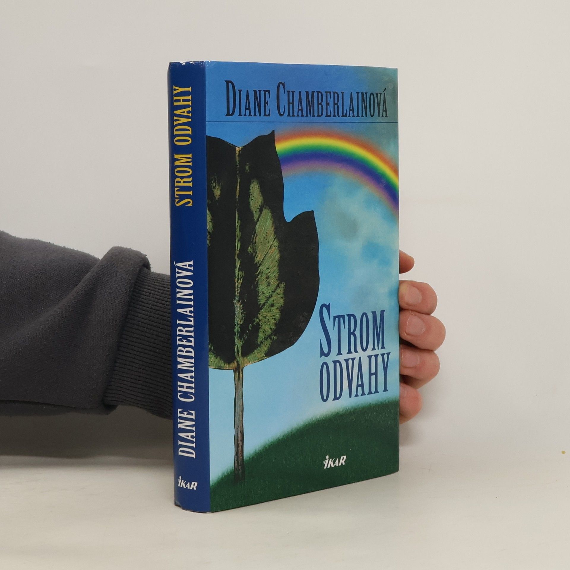 Diane Chamberlain Strom odvahy
