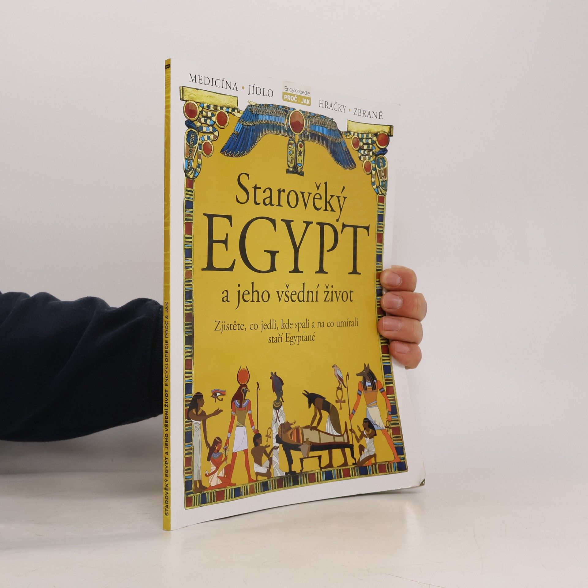 Kolektív autorov Starověký Egypt a jeho všední život