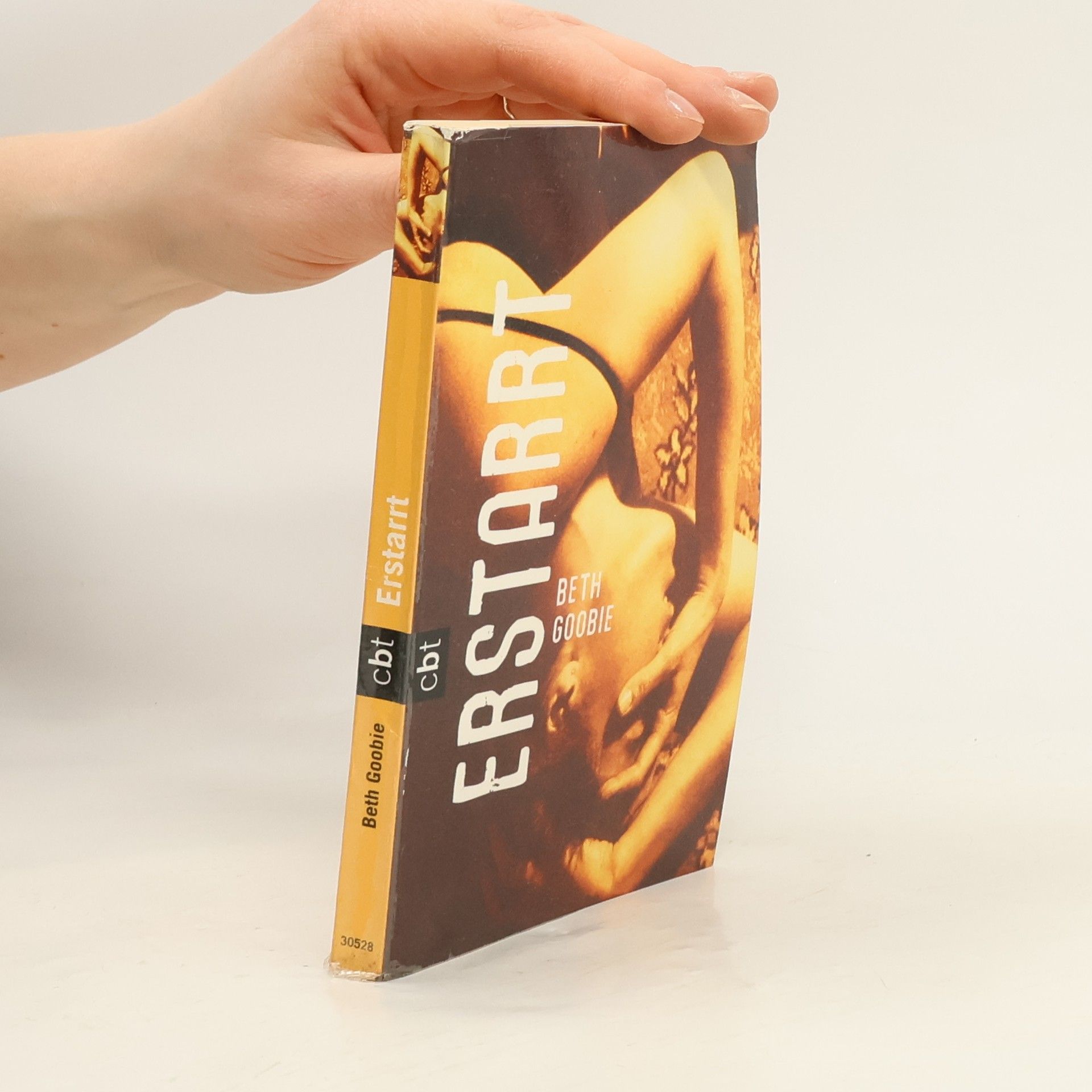 Beth Goobie Erstarrt