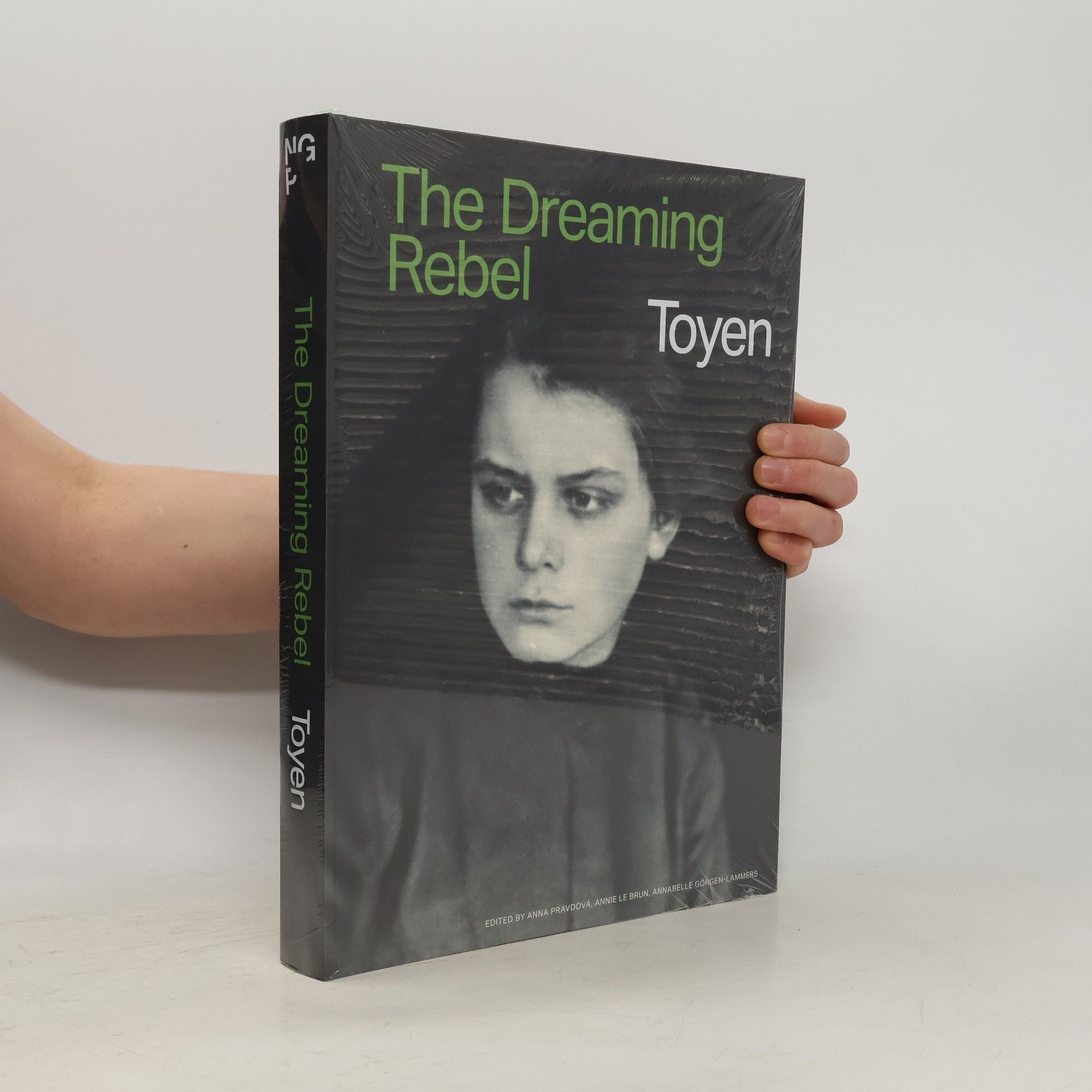 Collectif d'auteurs Toyen. The dreaming rebel