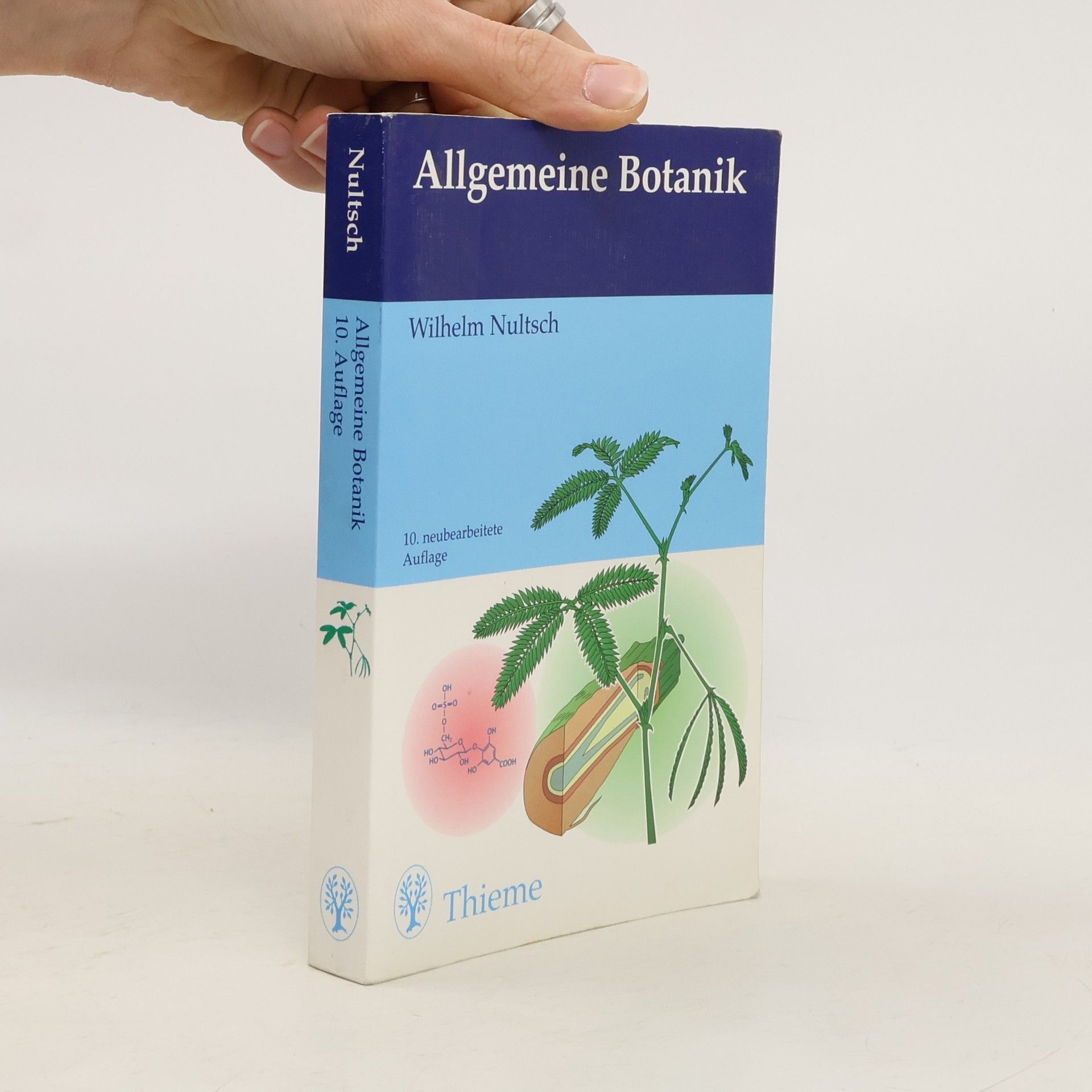 Wilhelm Nultsch Allgemeine Botanik