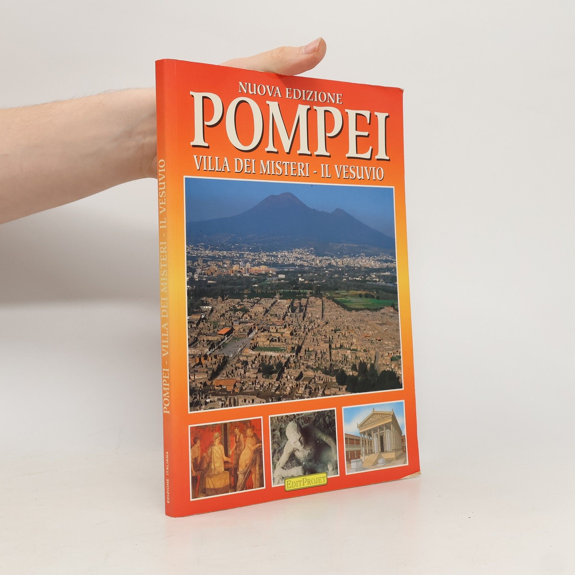 Kolektiv autorů Pompei. Villa dei misteri. Il Vesuvio