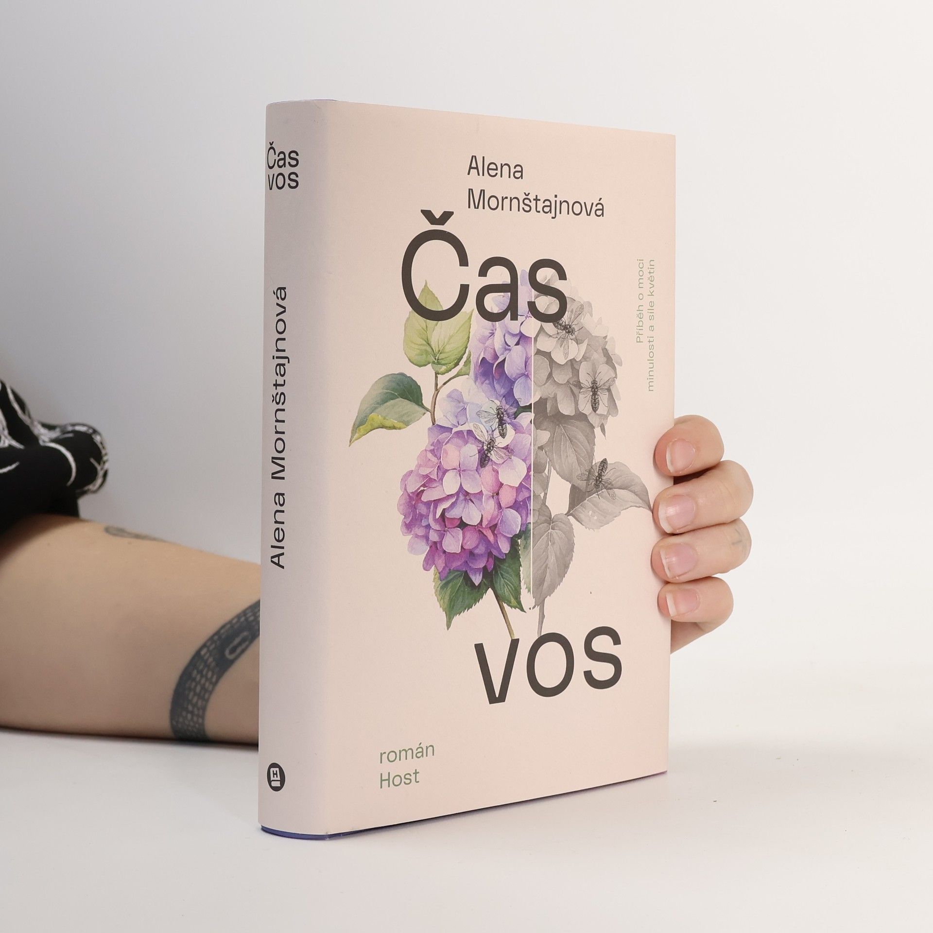 Alena Mornštajnová Čas vos