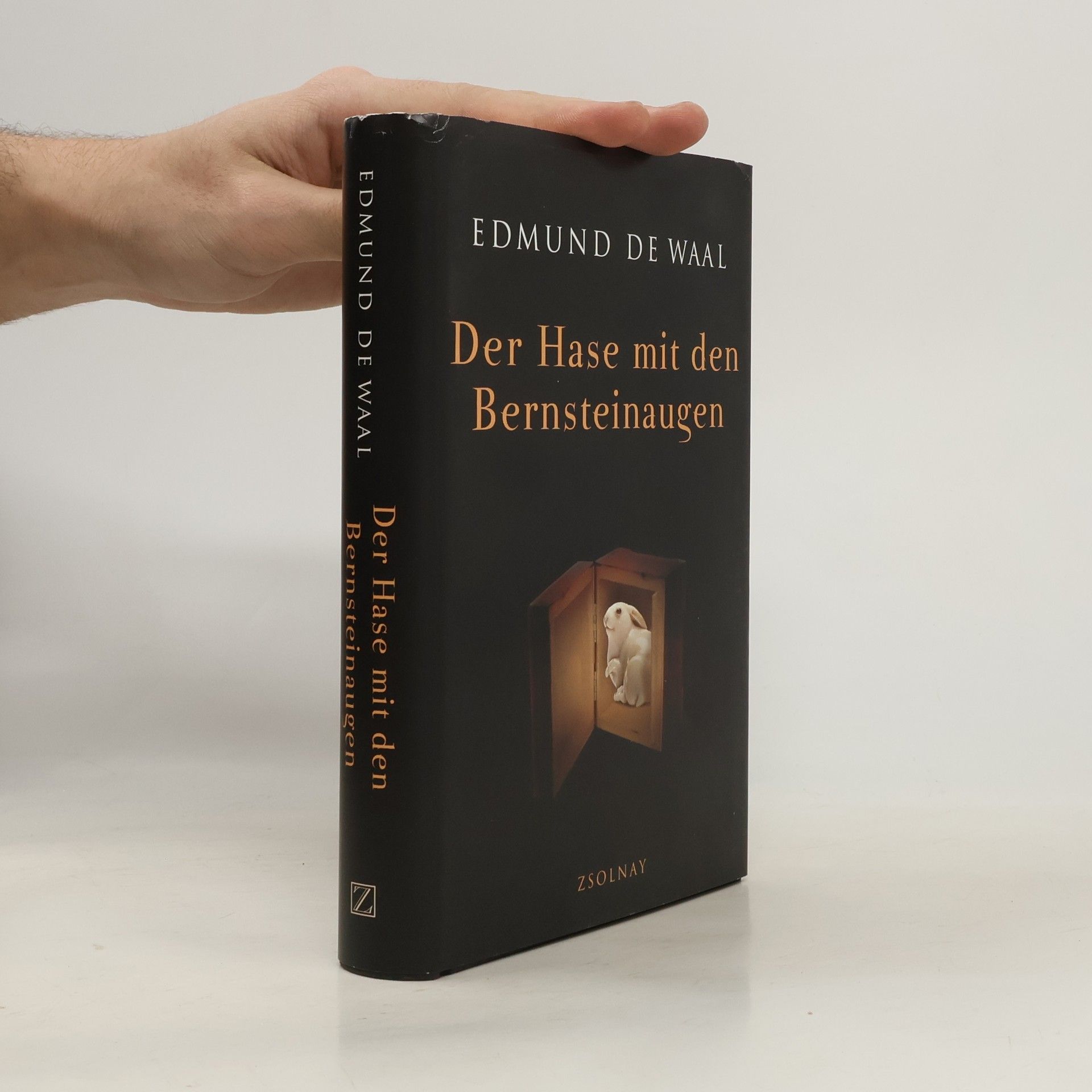 Edmund de Waal Der Hase mit den Bernteinaugen