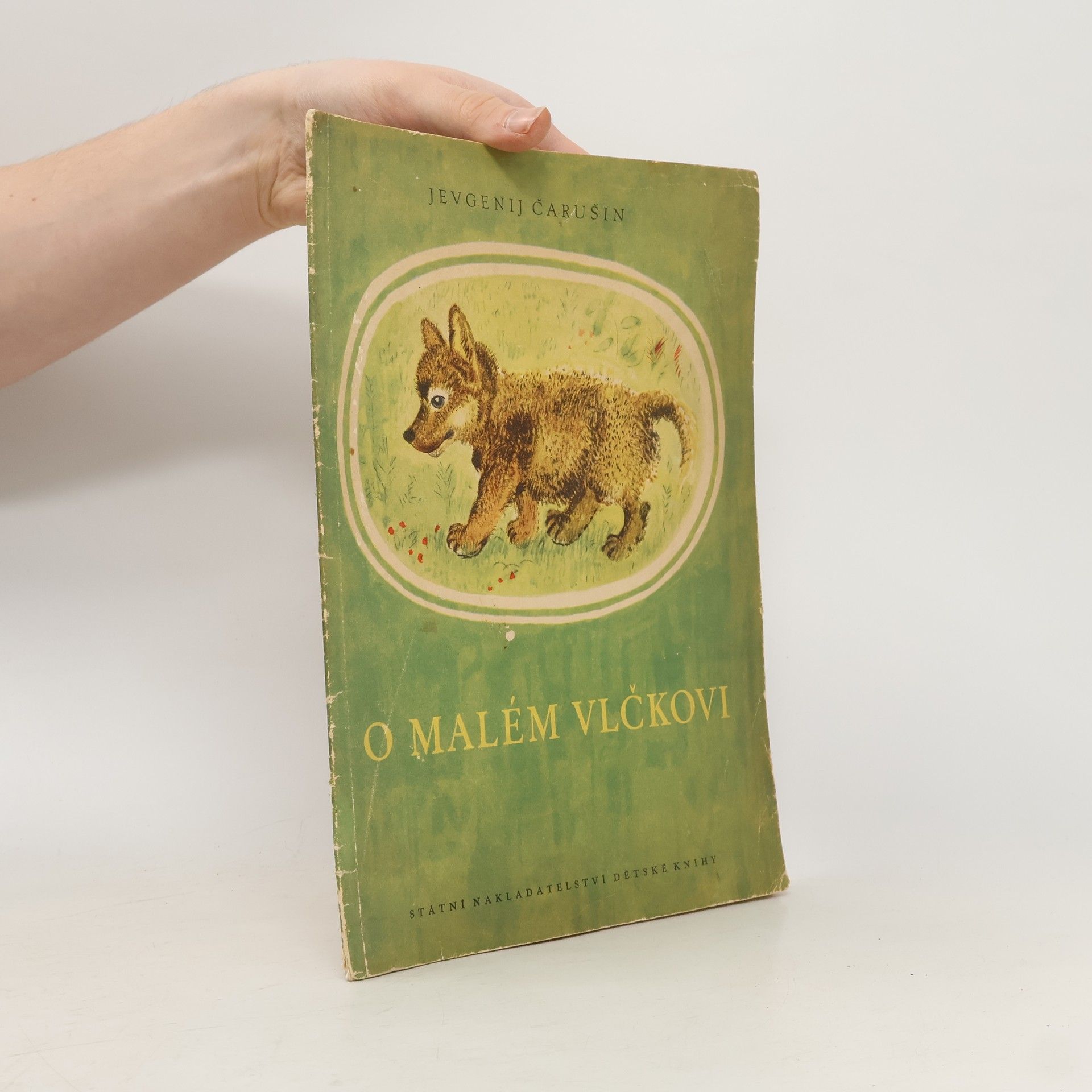 Jevgenij Ivanovič Čarušin O malém vlčkovi