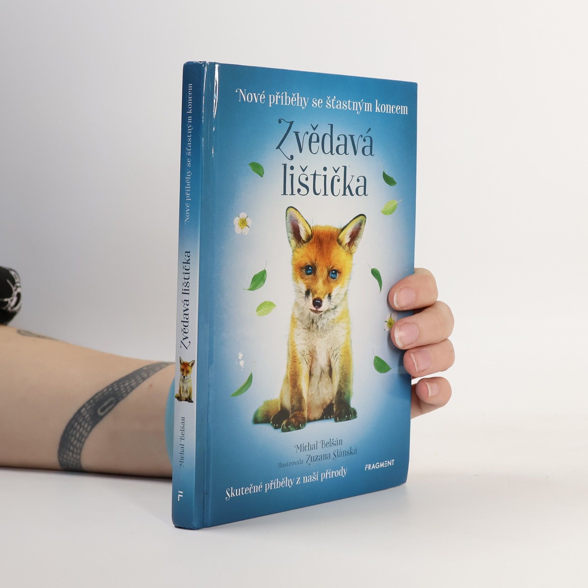 Michal Belšán Zvědavá lištička