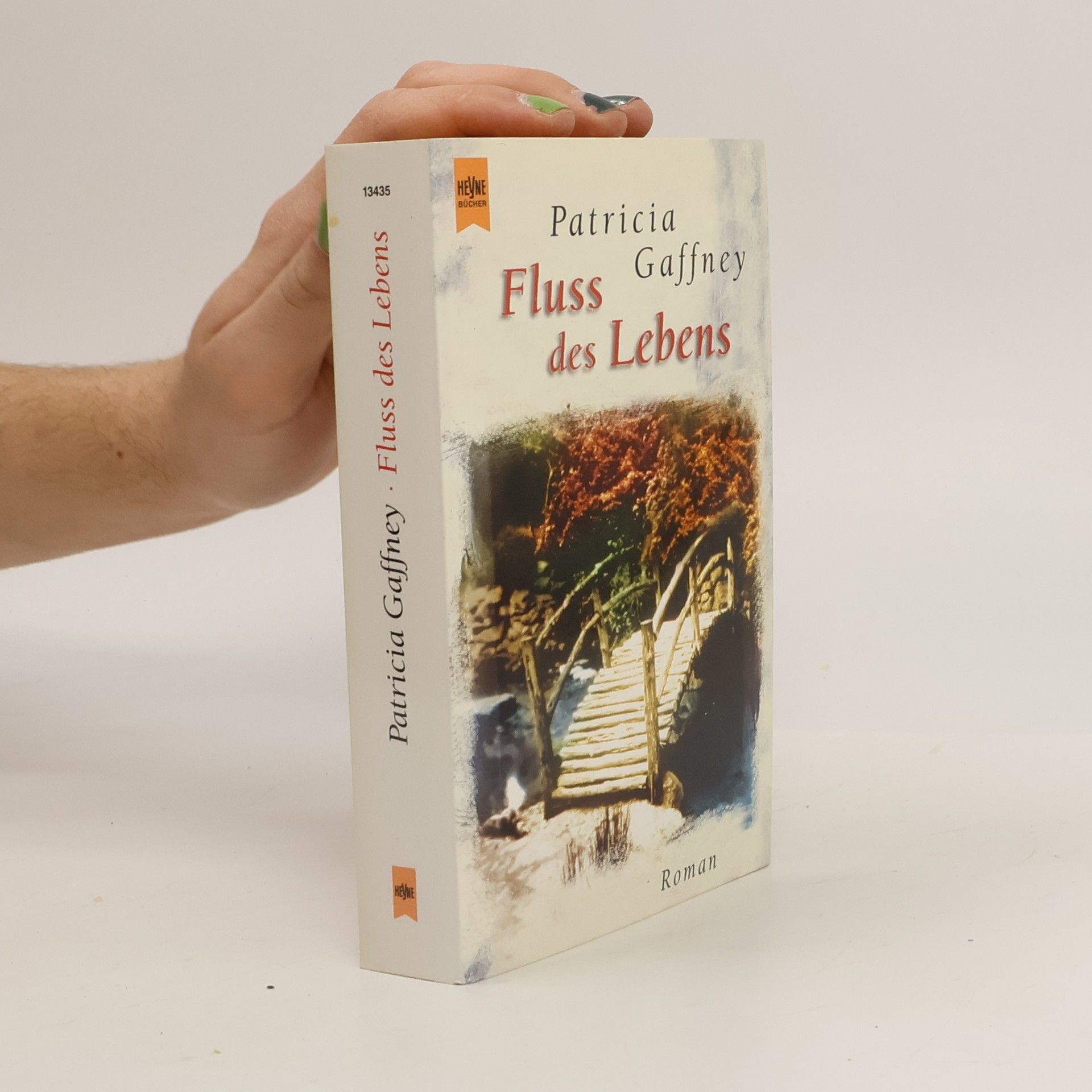 Patricia Gaffney Fluss des Lebens