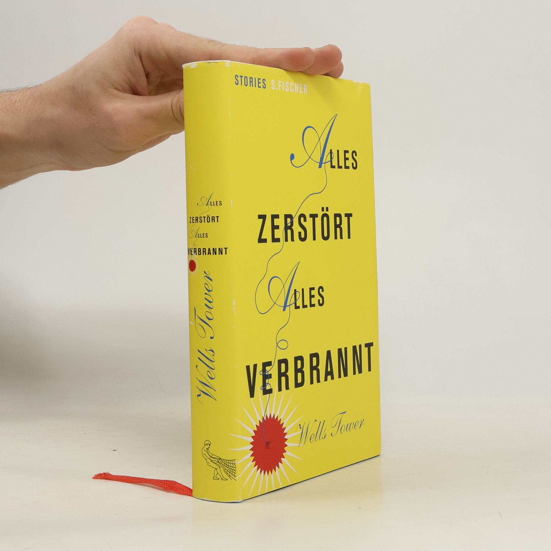 Wells Tower Alles zerstört, alles verbrannt. Stories