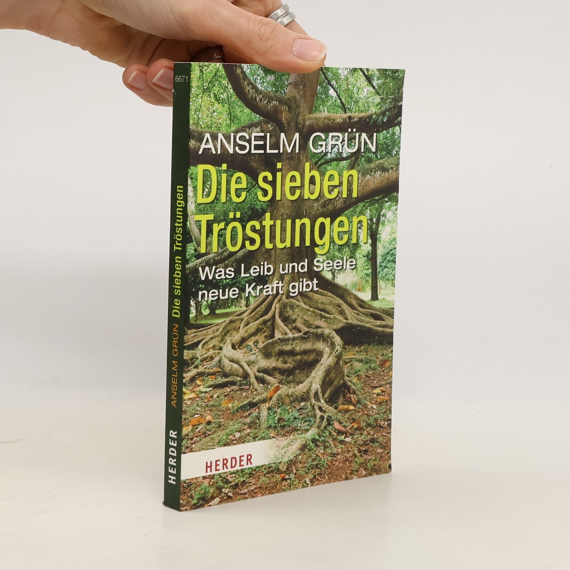Anselm Grün Die sieben Tröstungen. Was Leib und Seele neue Kraft gibt