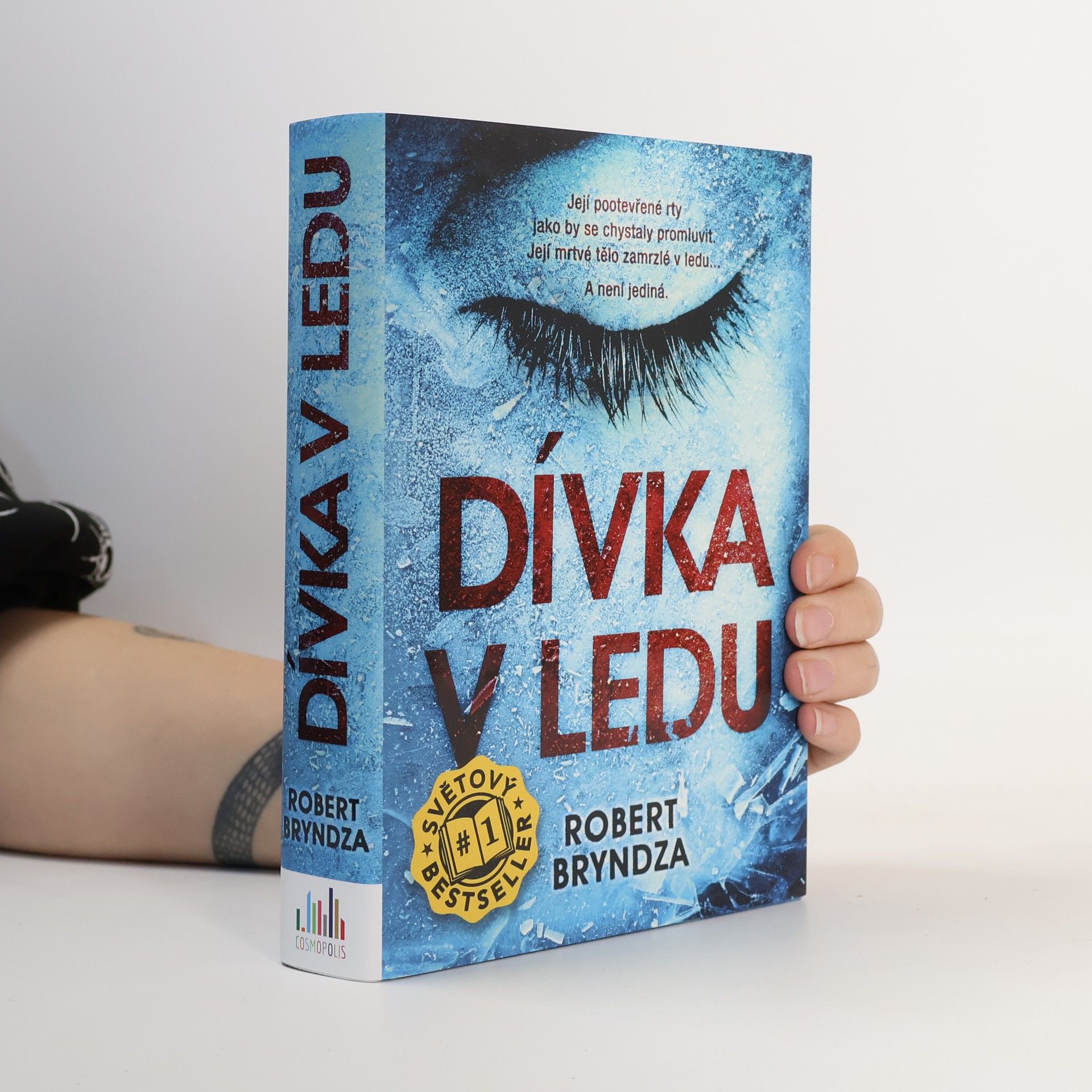 Robert Bryndza Dívka v ledu